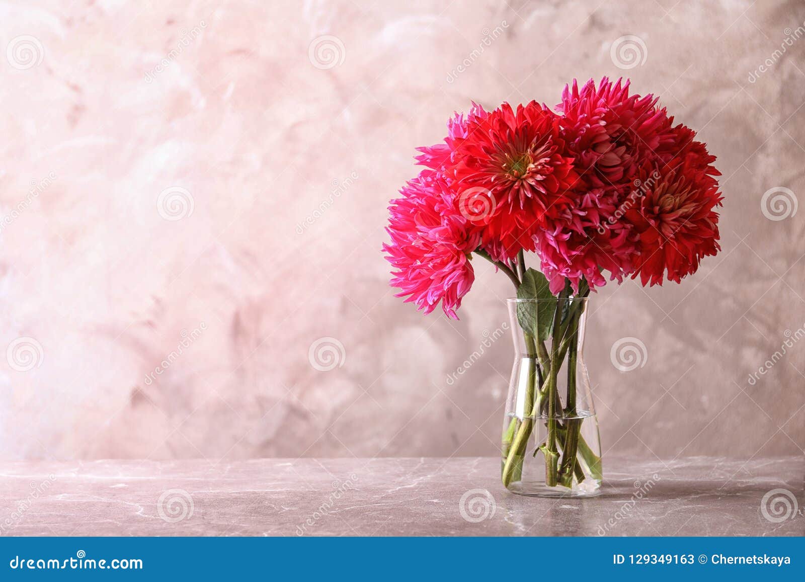 Bei Fiori Della Dalia in Vaso Di Vetro Sulla Tavola Contro Il Fondo Di  Colore Immagine Stock - Immagine di autunno, dalia: 129349163