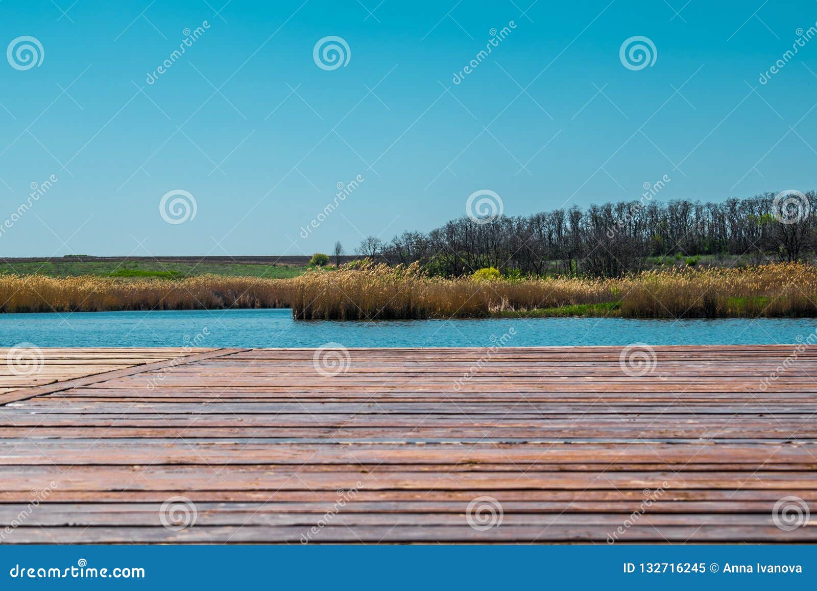 Bei paesaggi della Russia La Russia Posti variopinti Vegetazione e fiumi verdi con i laghi e le paludi Foreste e mea. Bei paesaggi della Russia La Russia Posti variopinti Vegetazione e fiumi verdi con i laghi e le paludi Foreste e prati Viste meravigliose ed insolite locali Natura in estate e primavera