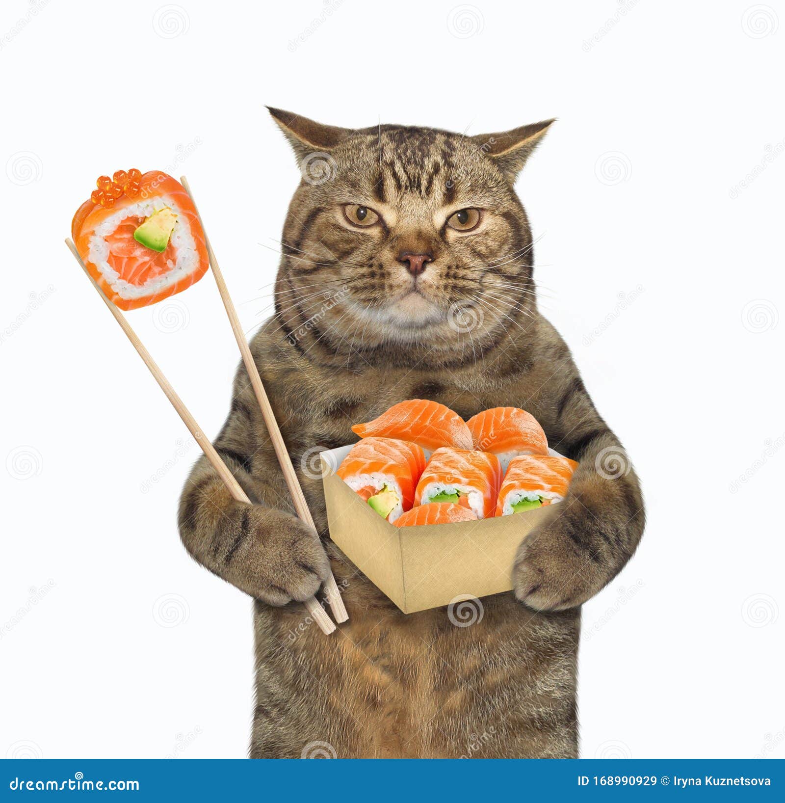can dogs and cats eat sushi