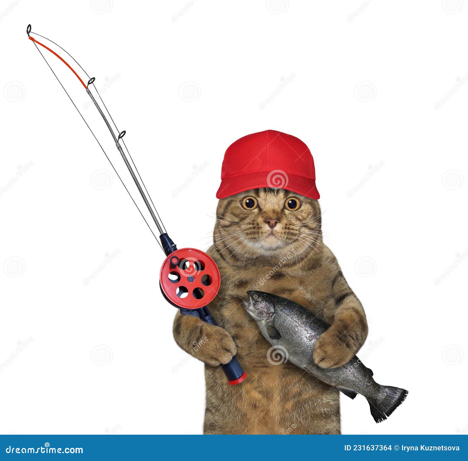 Cat with Fishing Rod Holds Caught Trout Stock Photo - Image of animal,  caught: 231637364