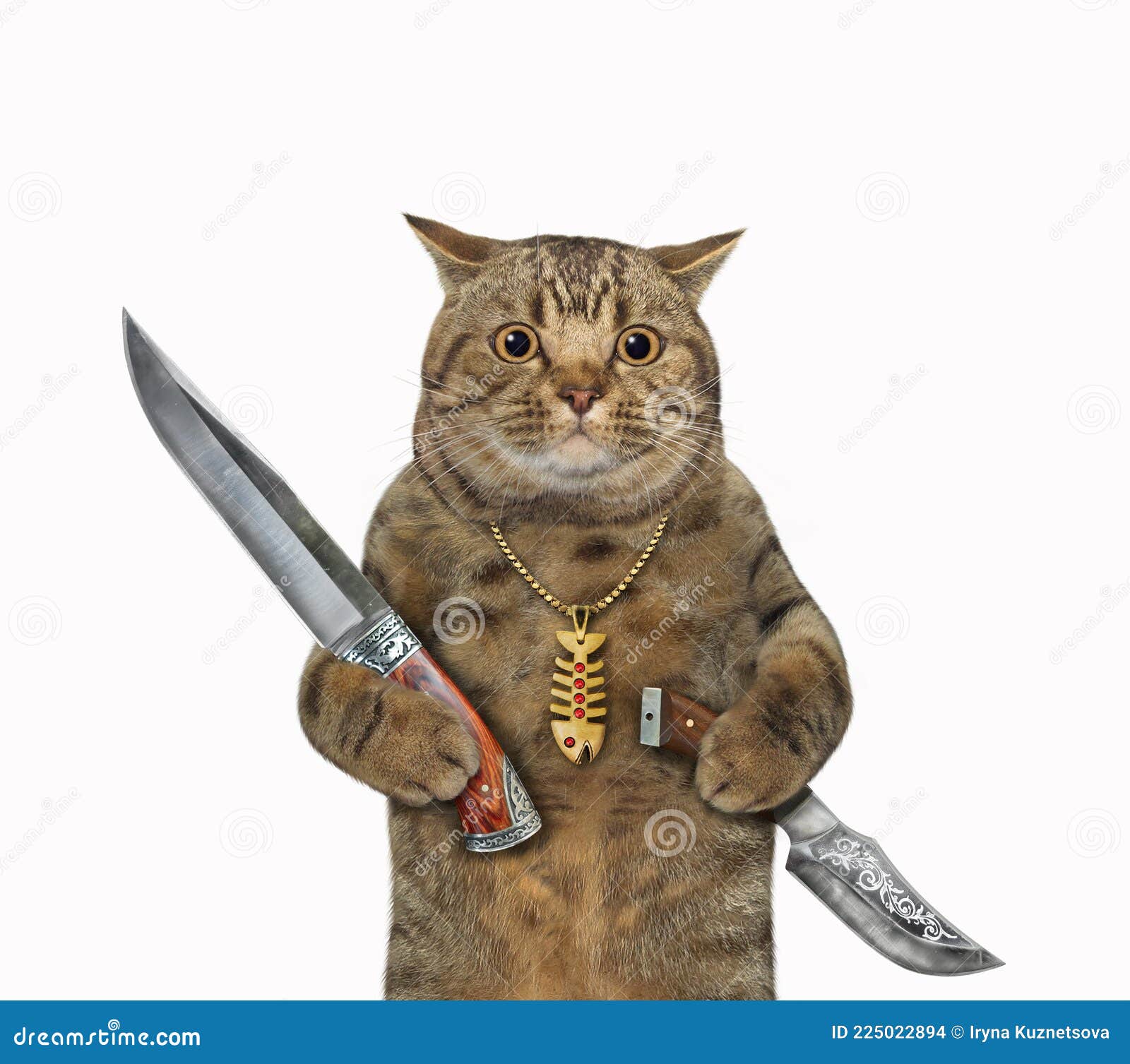 Cat holds hunting knives stock photo. Image of rest - 225022894 Cat holds hunting knives stock photo. Image of rest - 225022894