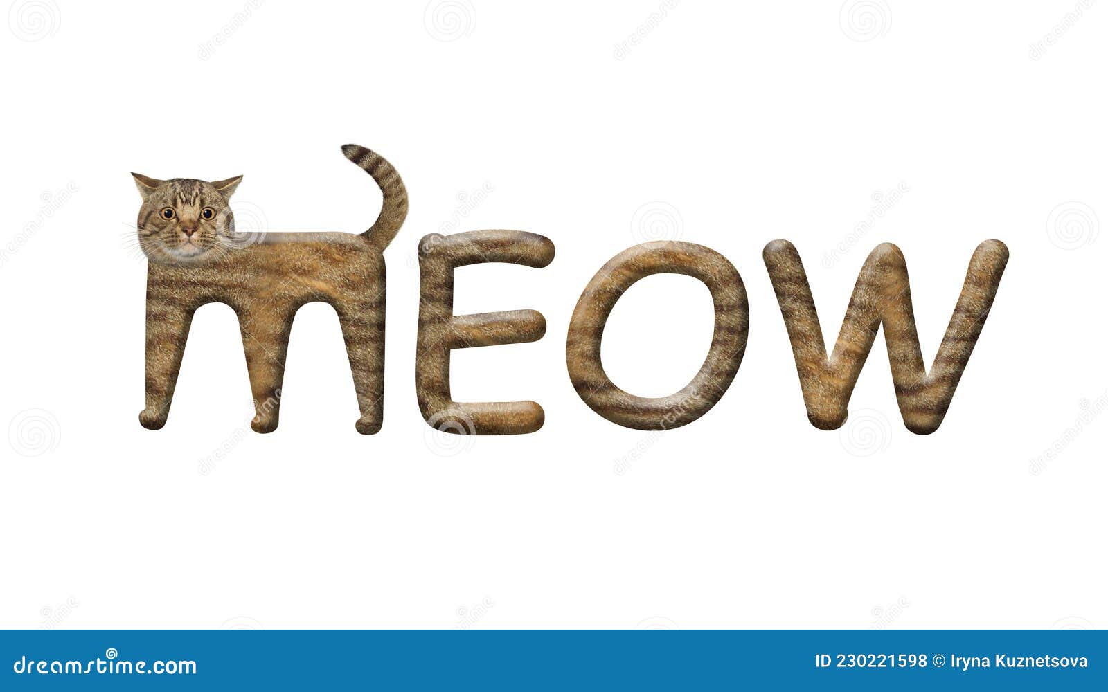 Cat is Letter M in Word Meow Stock Photo - Image of humor ...