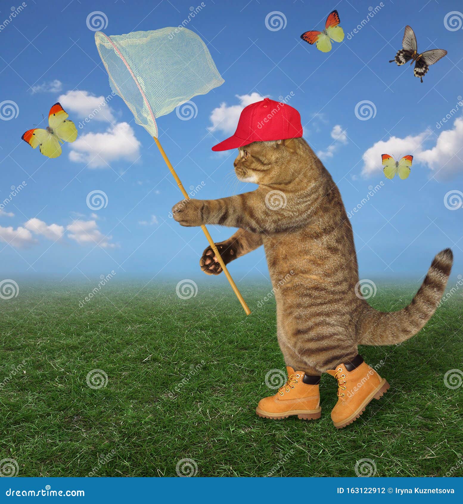 Cat Catches Yellow Butterfly 2 Stock Photo - Image of positive