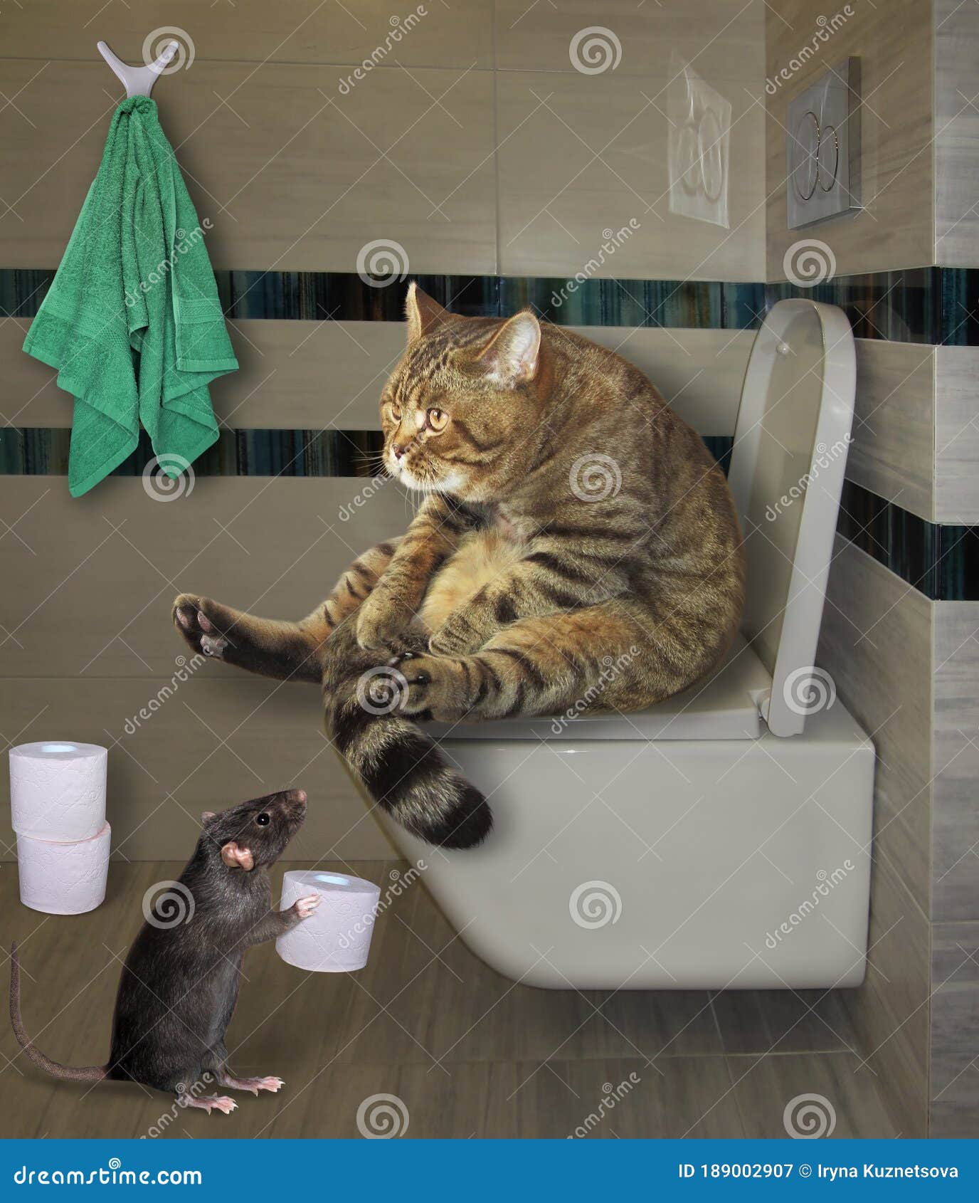 Cat Sits On White Toilet Bowl 2 Stock Illustration Illustration of