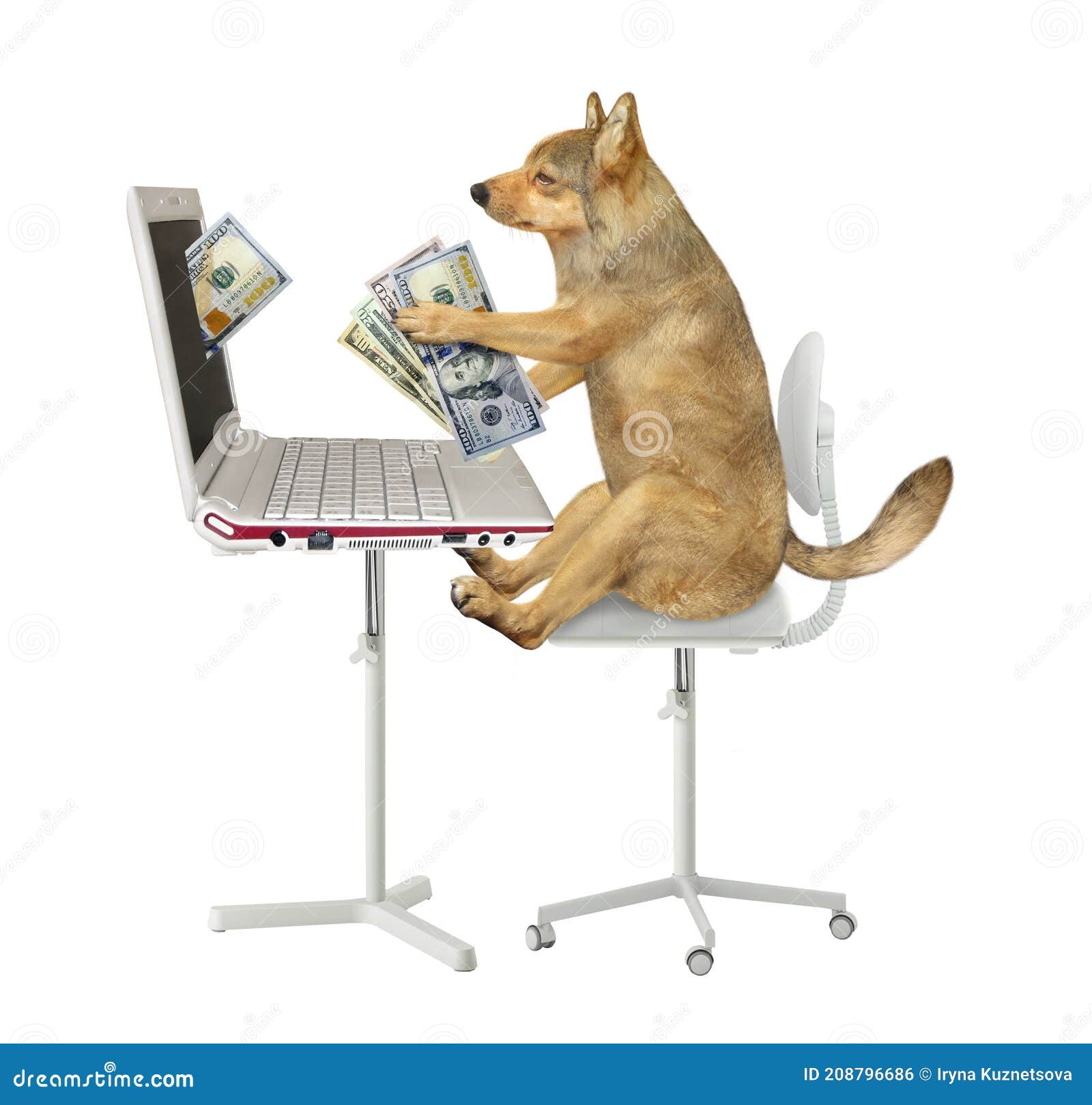 dog earns dollars from laptop 2