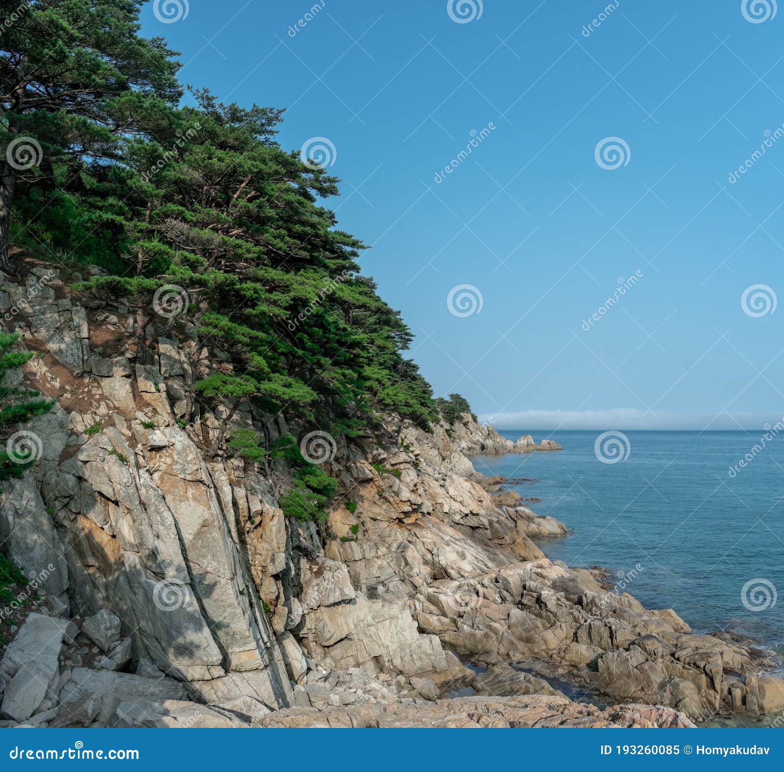 Beige Rocks with Pine Trees and Sea Stock Image - Image of trees ...