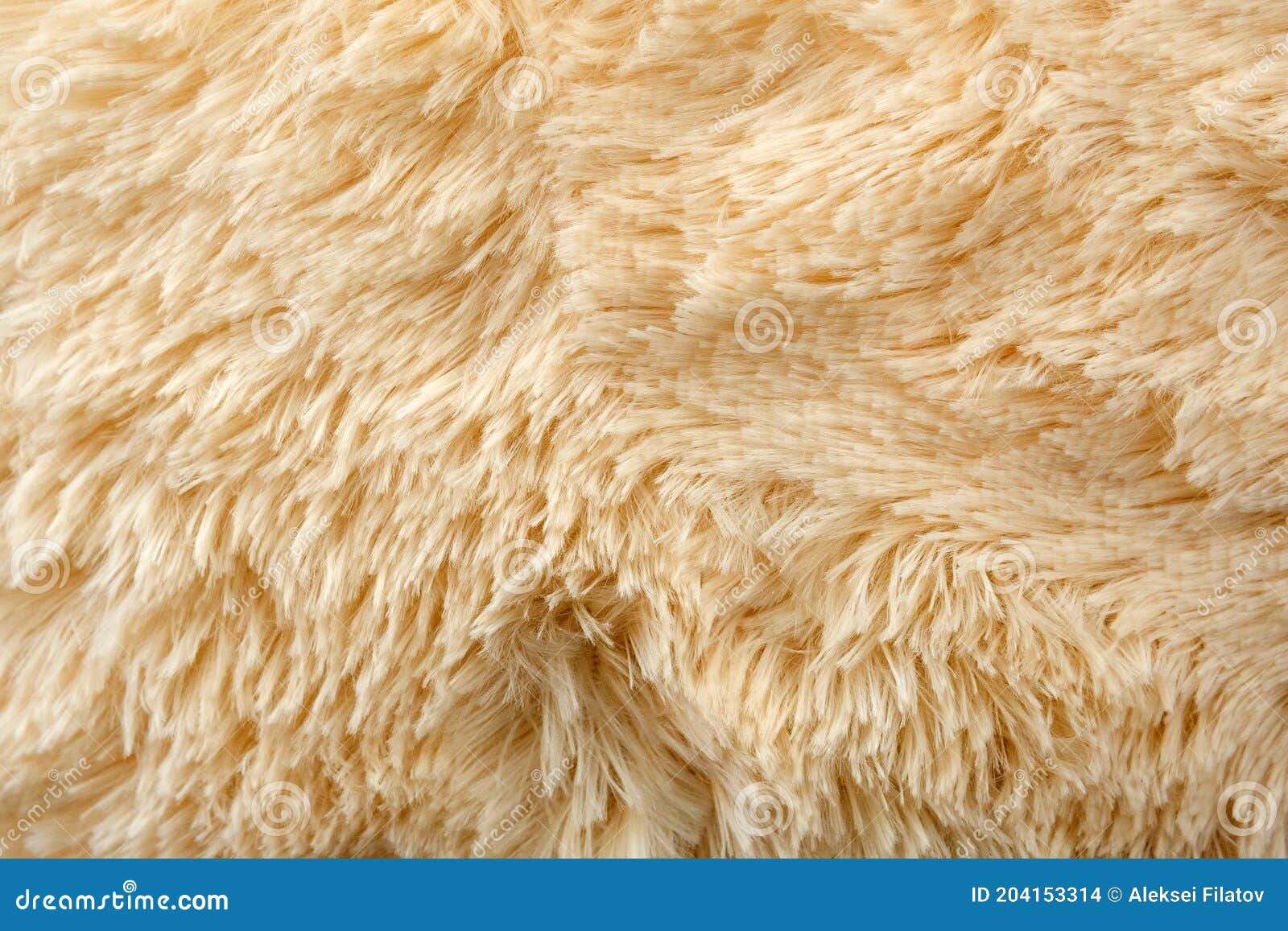 1,558,180 Carpet Wallpaper Images, Stock Photos & Vectors | Shutterstock