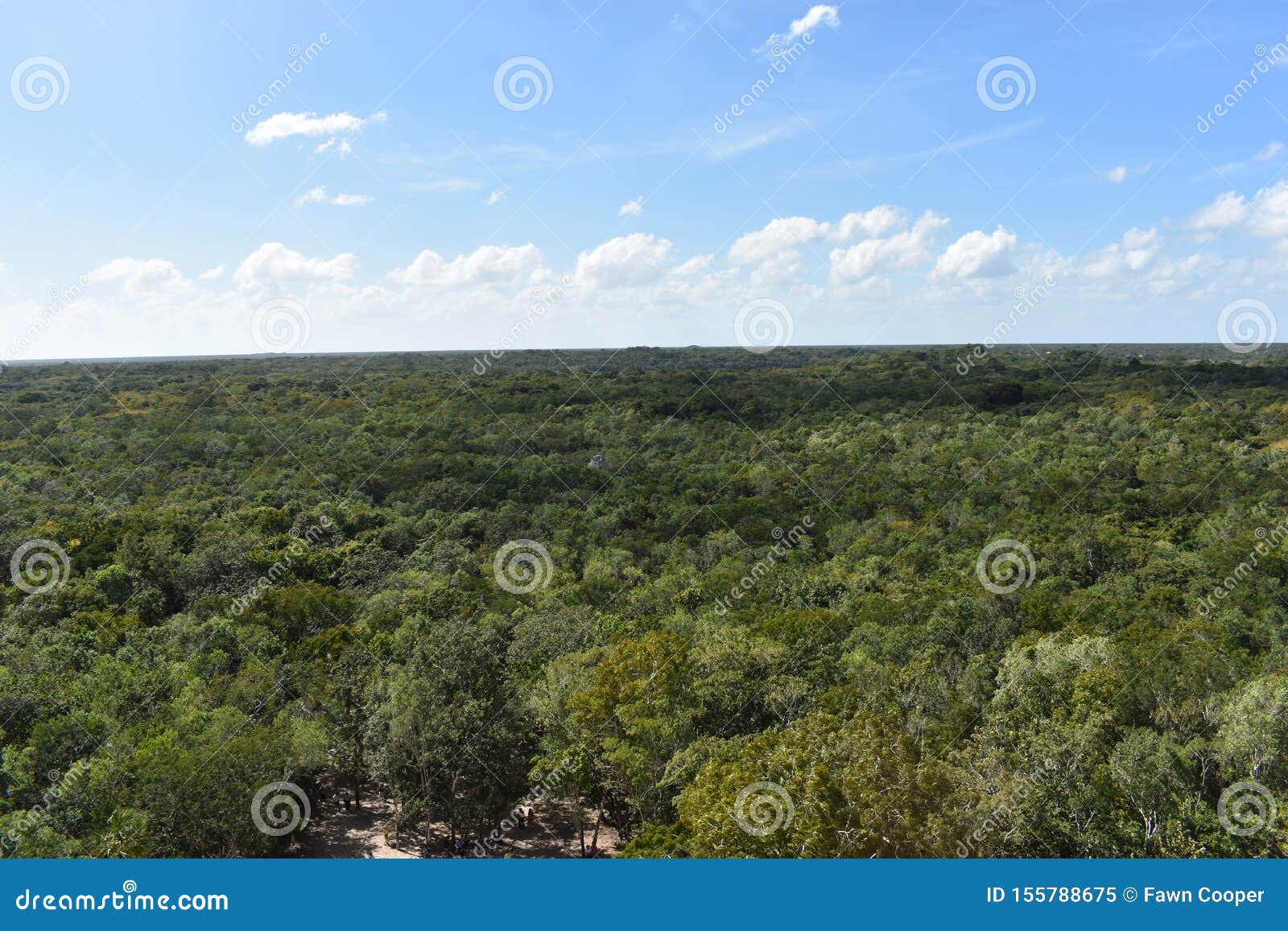 the view at the top of nohoch mul ancient mayan ruins, coba mexico