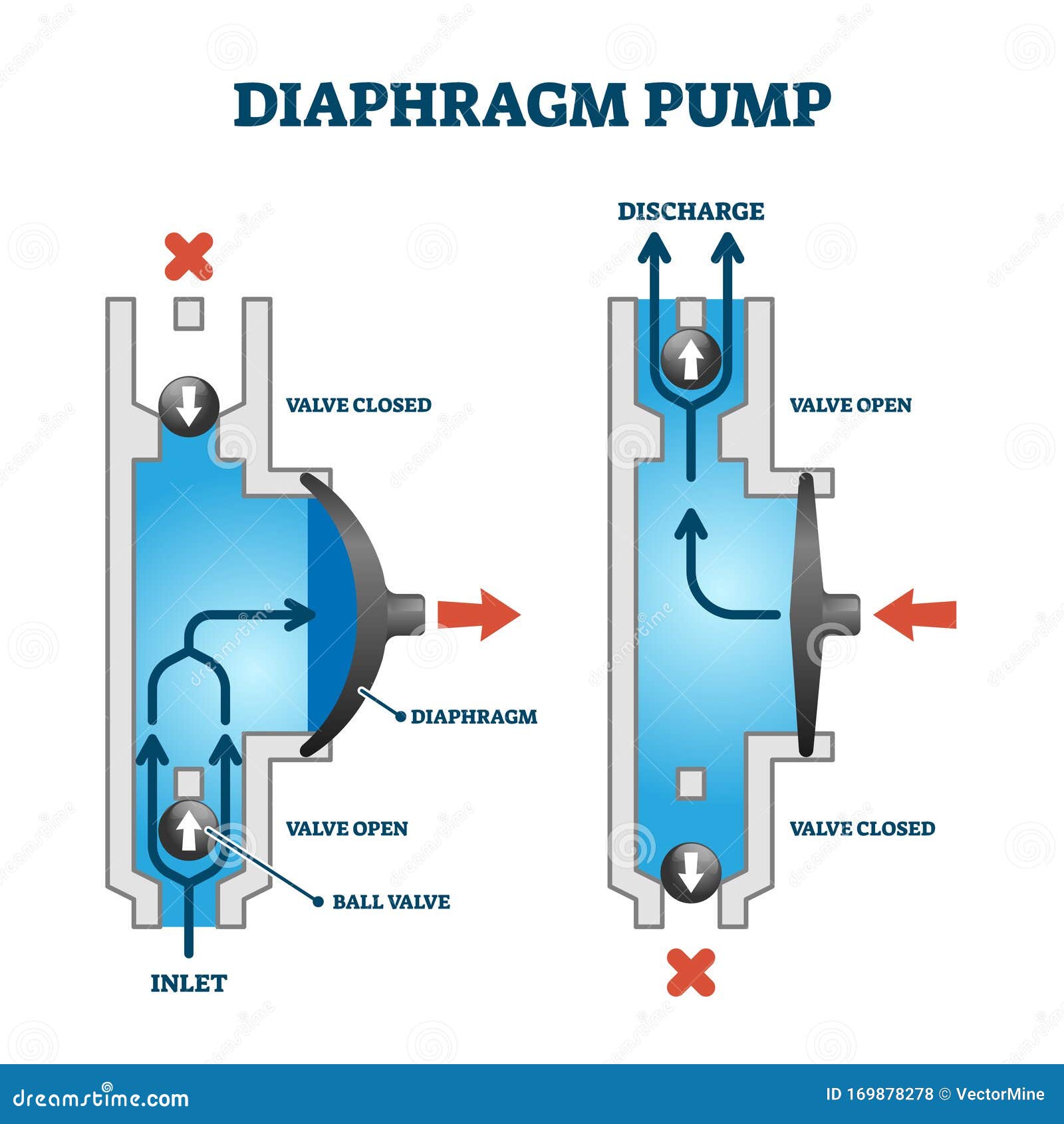 https://thumbs.dreamstime.com/z/beispiel-f%C3%BCr-die-zeichnung-von-membranen-oder-membranpumpen-arbeitsbeispiel-membranpumpe-technische-mit-str%C3%B6mungsprinzip-wie-es-169878278.jpg
