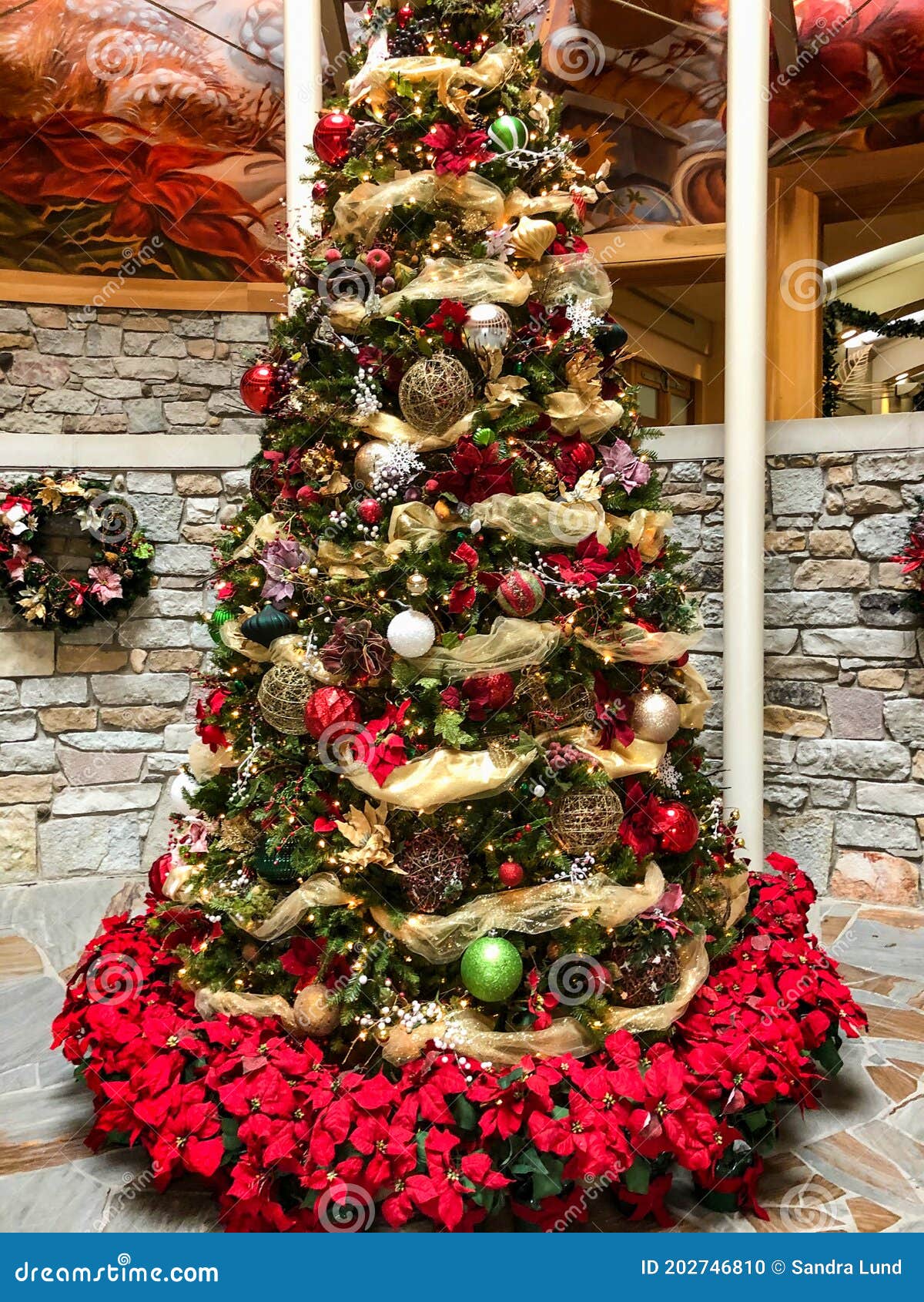 Belíssima árvore De Natal Decorada Com Poinsettias Foto de Stock - Imagem de  feriado, poinsettia: 202746810