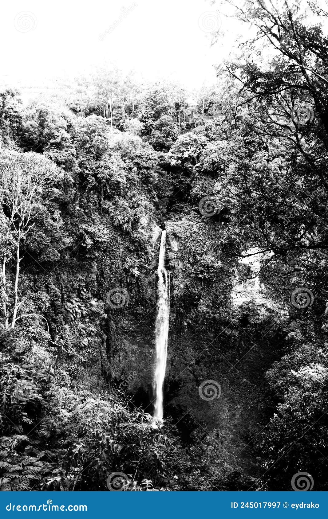 Uma cachoeira na floresta com um fundo verde