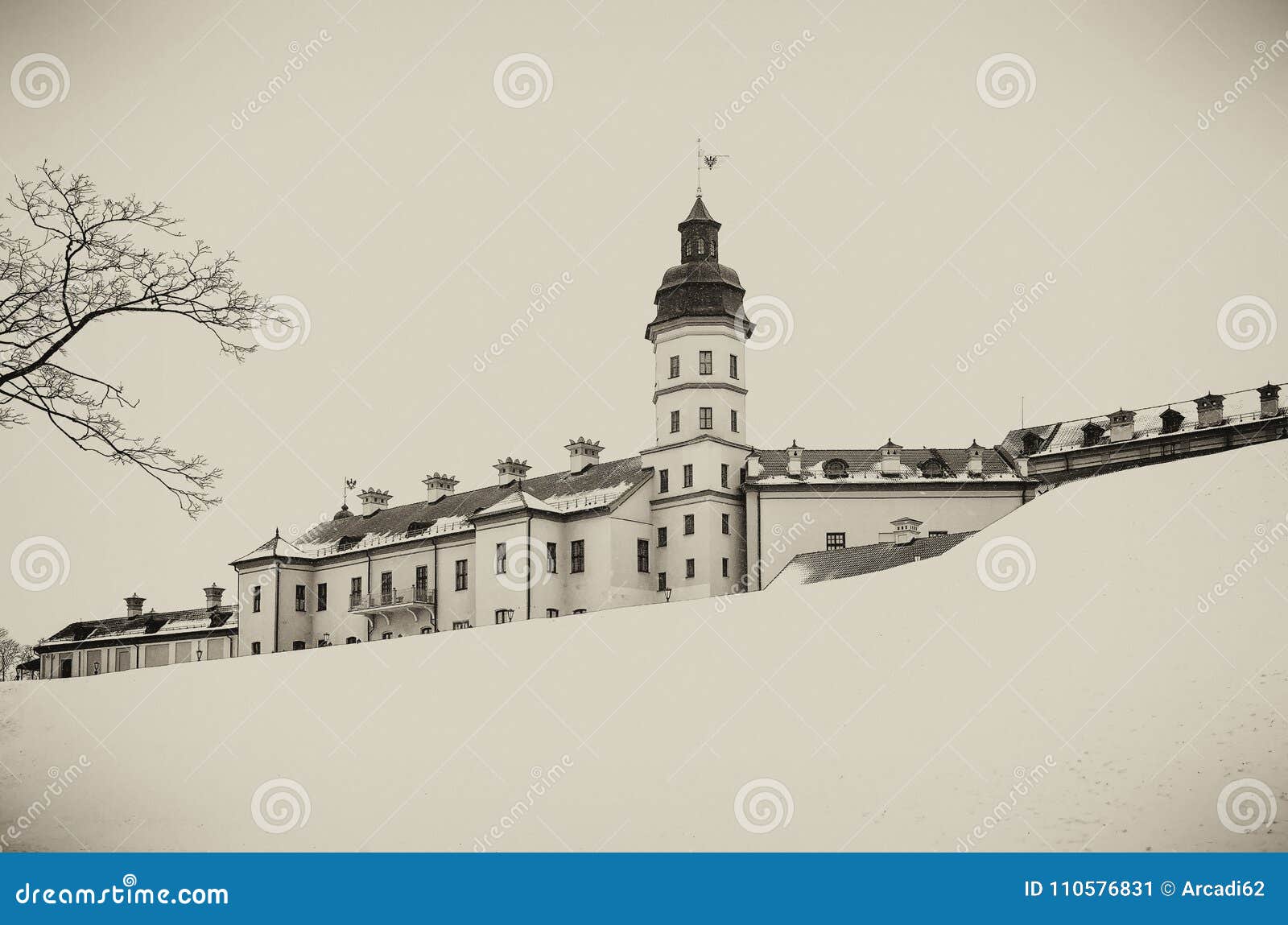 nesvizh castle. winter