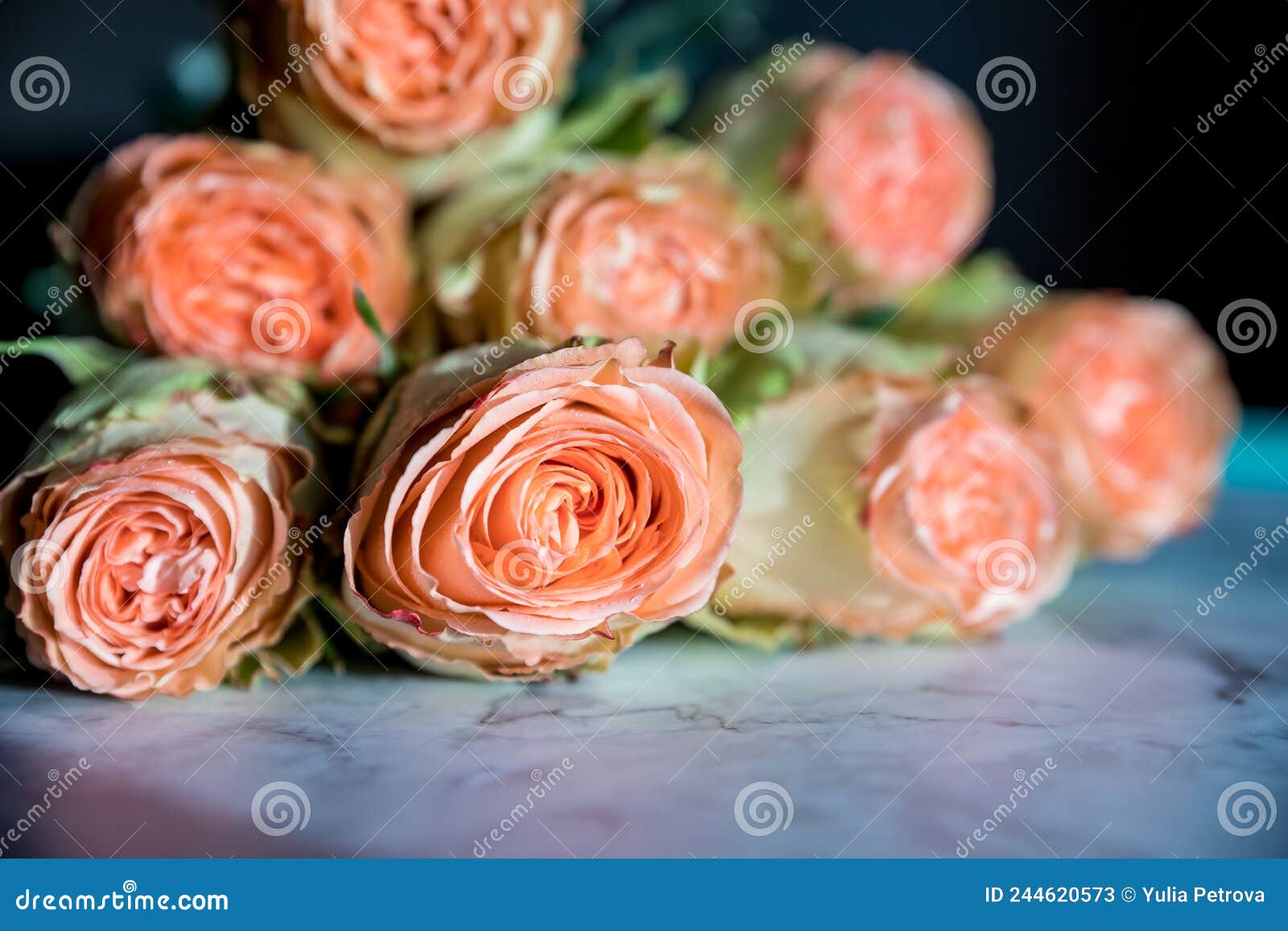 Belas Rosas Em Inglês. Rosas Rosadas Rosas Rosas Lindas, Em Forma De Peão.  Dia Dos Namorados Imagem de Stock - Imagem de planta, feliz: 244620573