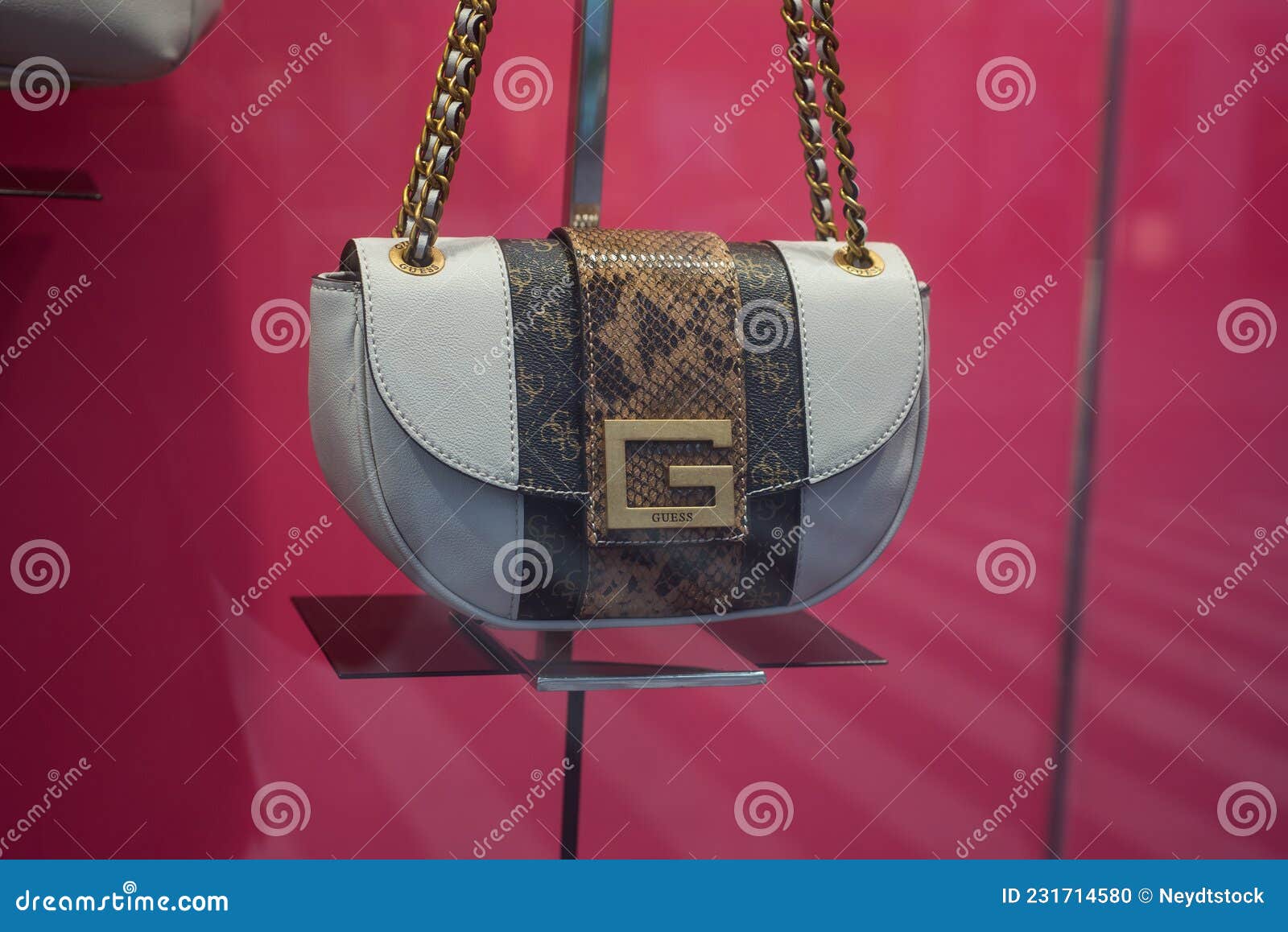Beige Leather Handbag with Famous Pattern by Gucci in a Luxury Fashion  Store Showroom Editorial Image - Image of commerce, detail: 231714580
