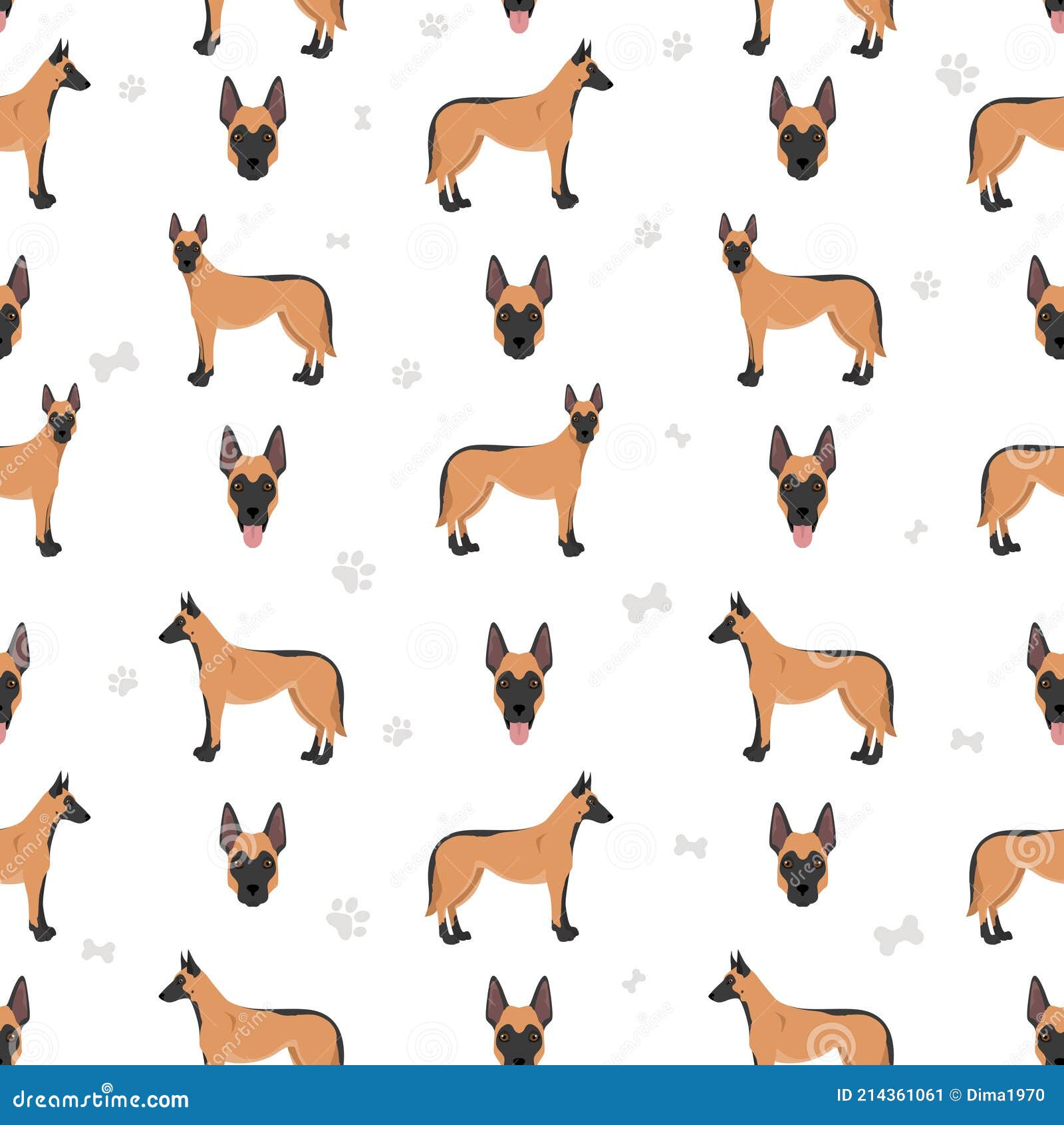 belgian malinois coat