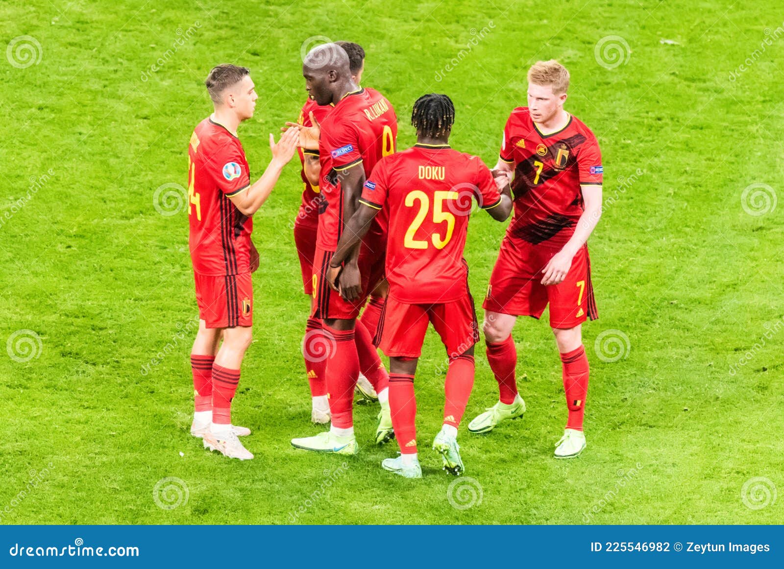 Football team national belgium Belgium (2022)