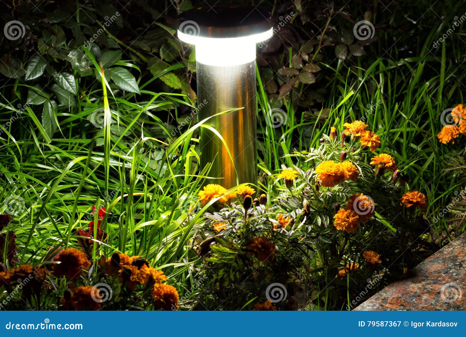 Belichteter Garten Durch Led Beleuchtung Stockbild Bild Von Garten Durch 79587367