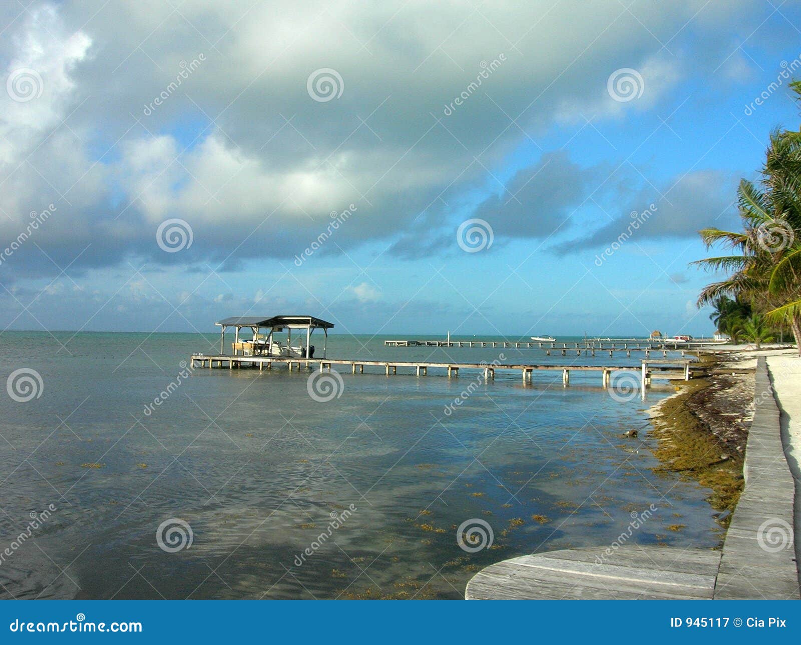 Belize central america stock image. Image of water, mosquito 945117