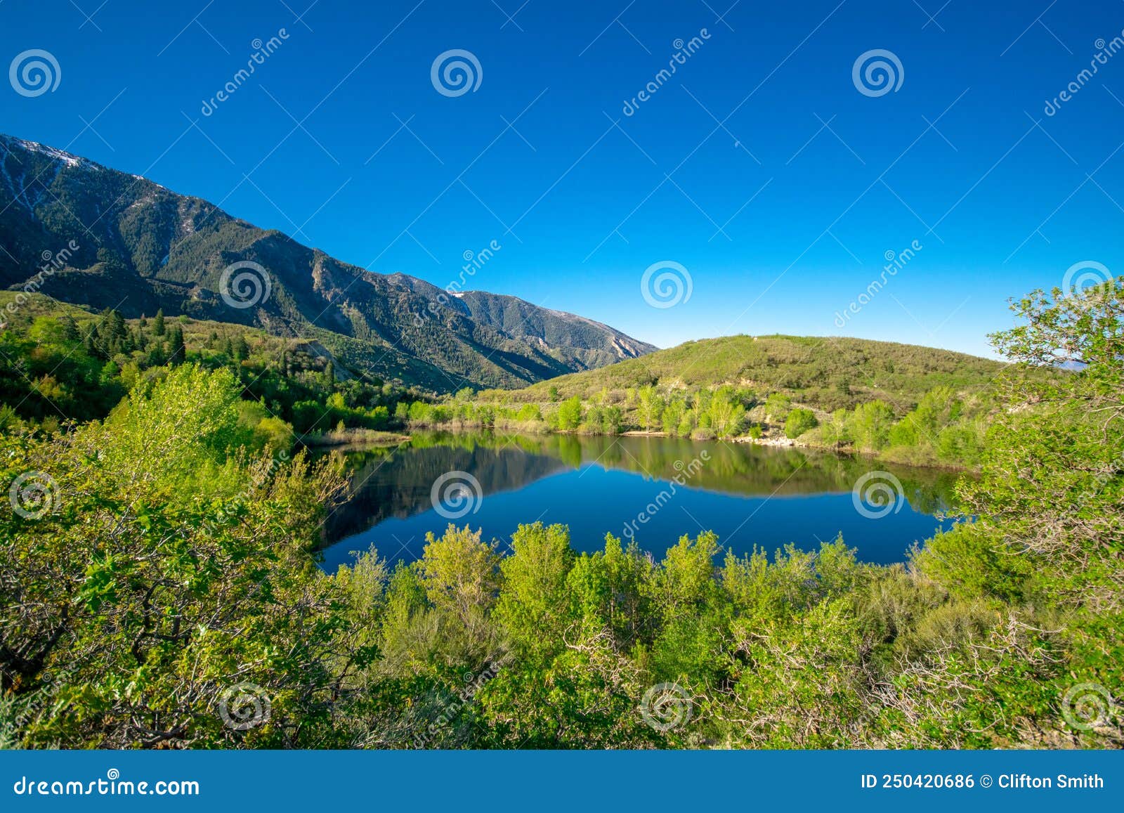 Bell Canyon Lower Reservoir on a Summer Morning Stock Photo Image of