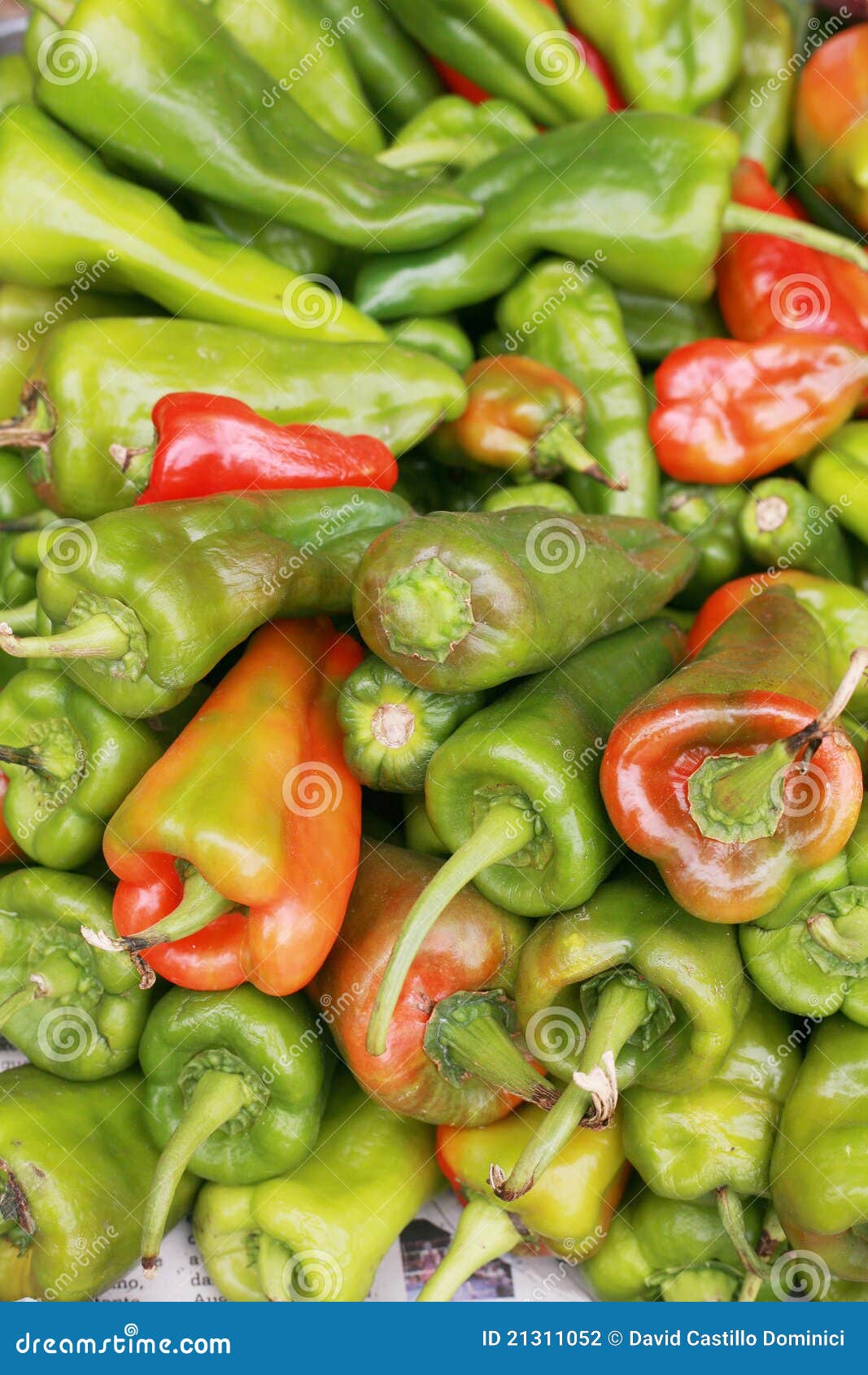 bell peppers, capsicum annuum.