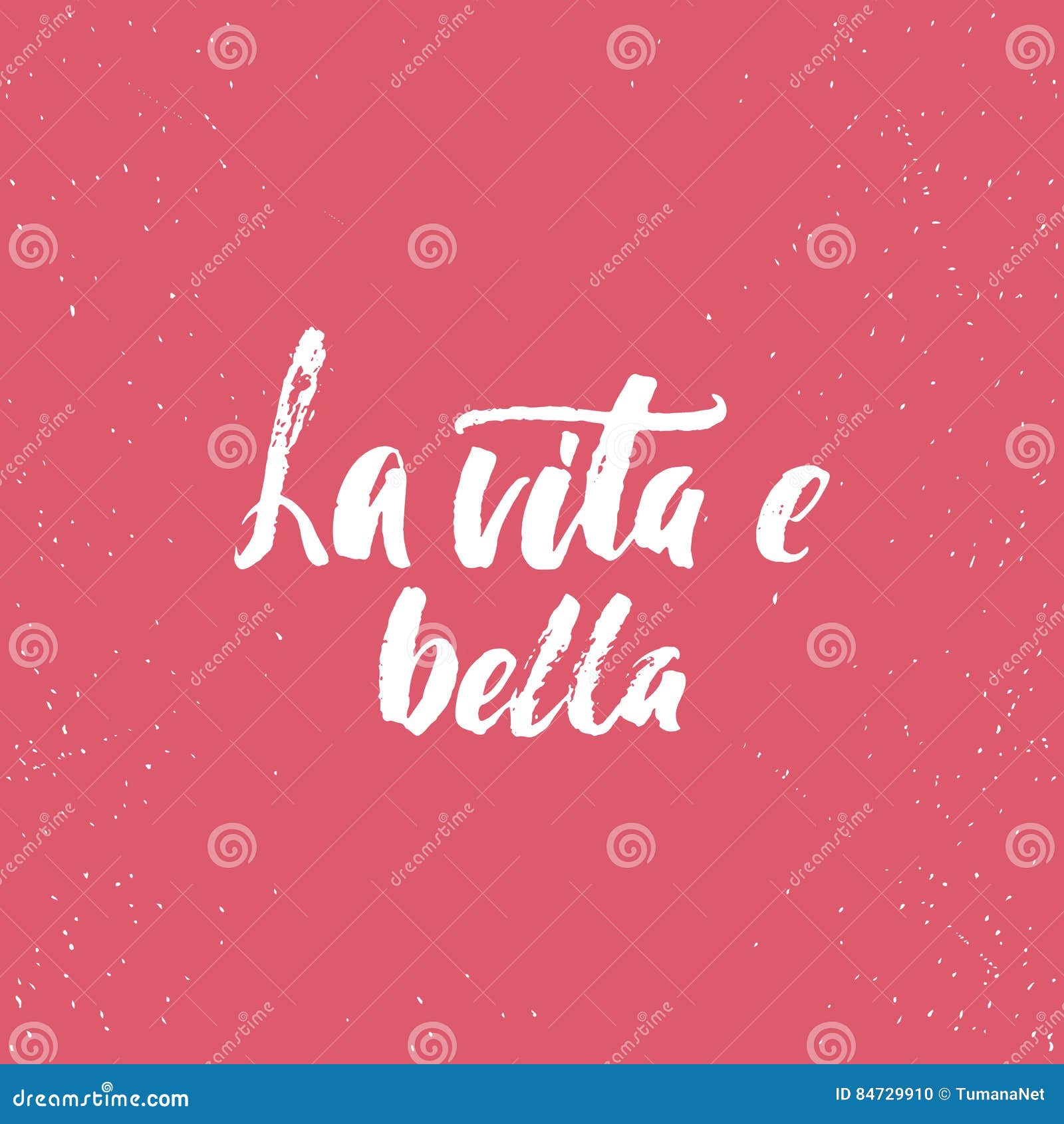 frase de la vita frase de la vita
