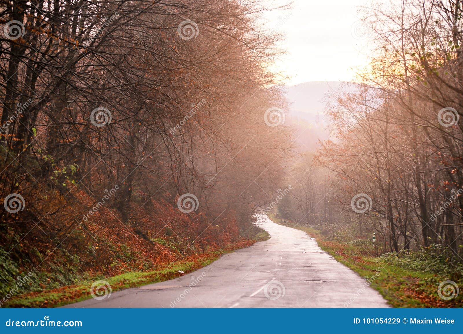 Bella foresta di autunno con la strada campestre della montagna al tramonto. Strada foresta della foresta di autunno nella bella con la strada campestre della montagna al tramonto Paesaggio variopinto con gli alberi, strada rurale Corsa Priorità bassa di autunno Foresta stupefacente con fogliame vibrante