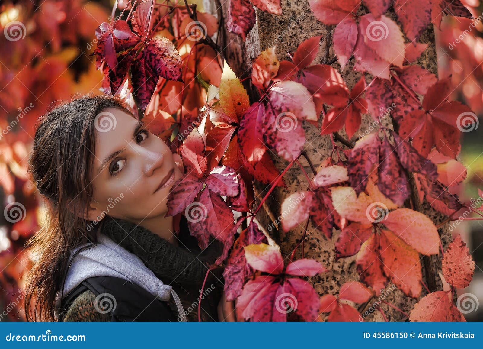 Bella giovane donna castana in autunno. Bella giovane donna castana accanto alle foglie di autunno dell'edera