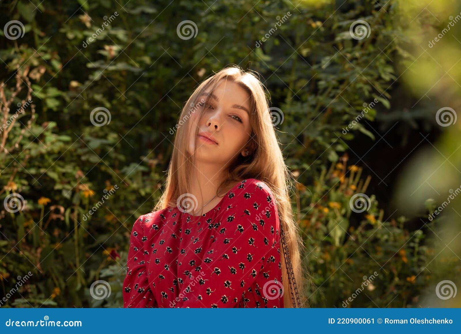 Bella Ragazza in Natura. Ragazza Con Un Magnifico Vestito Rosso. Capelli  Castani Naturali Di Una Bella Ragazza Immagine Stock - Immagine di modello,  magnifico: 220900061