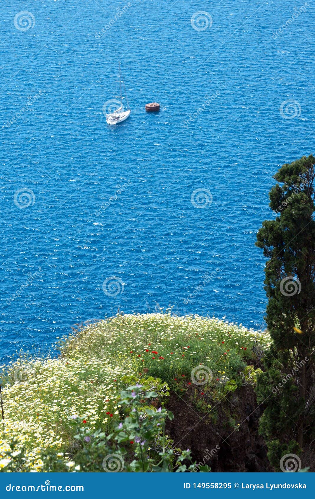 Bella vista del mare, degli yacht e delle montagne coperti di fiori Isola greca di Santorini un giorno soleggiato caldo Viaggio ai posti pittoreschi di Europa Isole di Cycladic nel mar Egeo