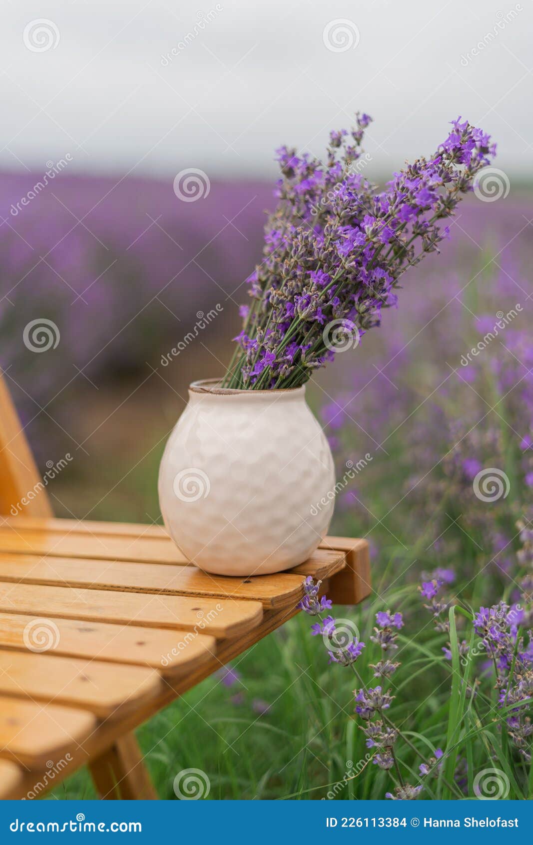 Sabio Prever Optimista Bellas Flores Moradas En Un Jarrón Foto de archivo - Imagen de volante, primer: 226113384 Sabio Prever Optimista Bellas Flores Moradas En Un Jarrón Foto de archivo - Imagen de volante, primer: 226113384