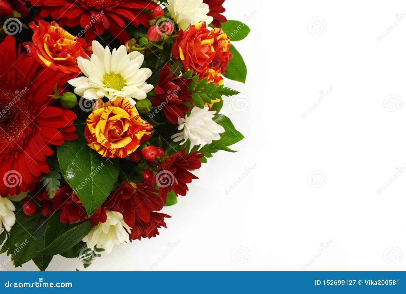 Belle Carte De Voeux De Fleur Copiez L Espace Image Stock Image Du Belle Voeux Belle Carte De Voeux De Fleur Copiez L Espace Image Stock Image Du Belle Voeux