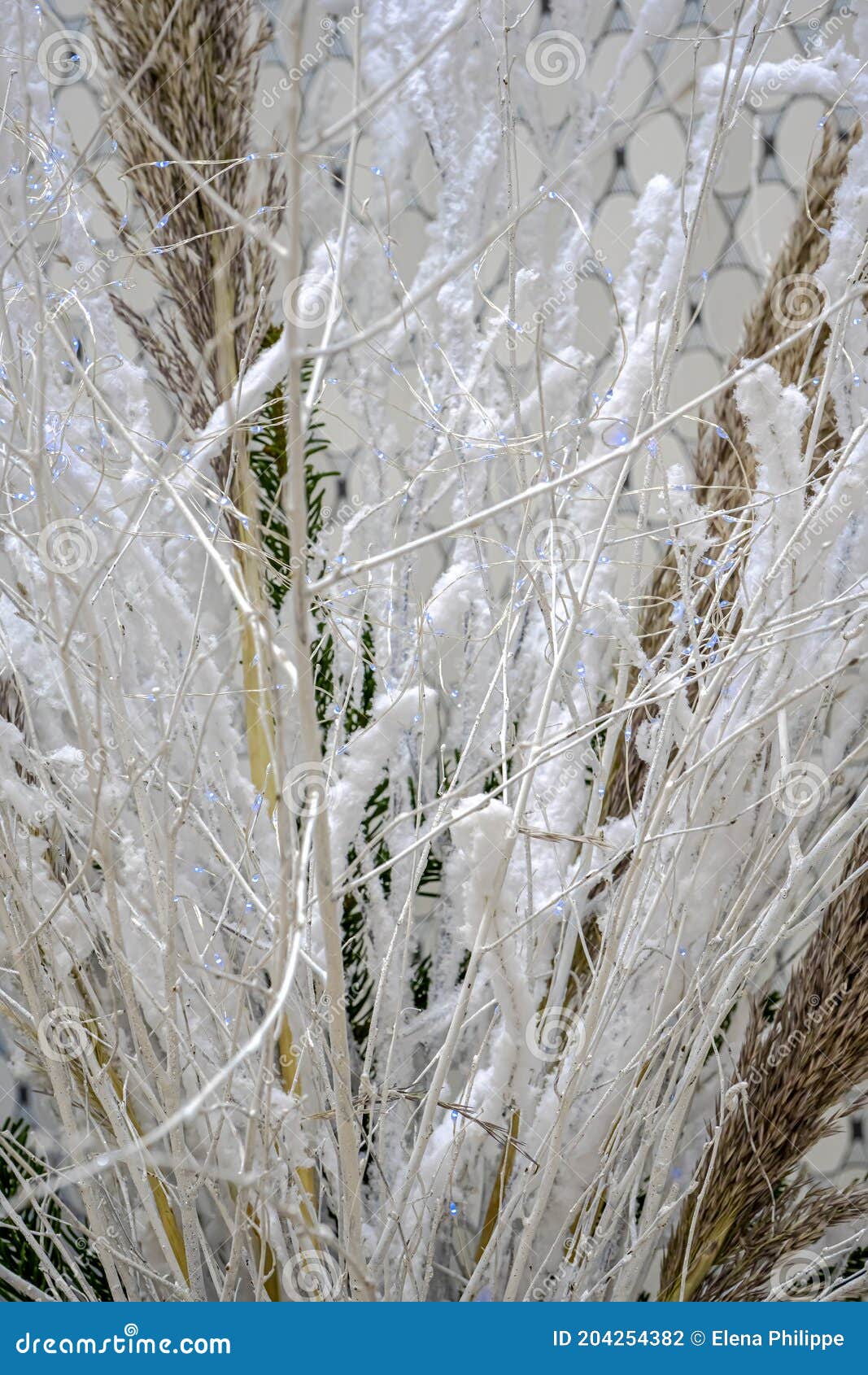 Belle Composition De Noël D'hiver Avec L'herbe De La Pampa Et Les Branches  Sèches Décorées De La Neige Artificielle Blanche Et Pet Photo stock - Image  du normal, panier: 204254382