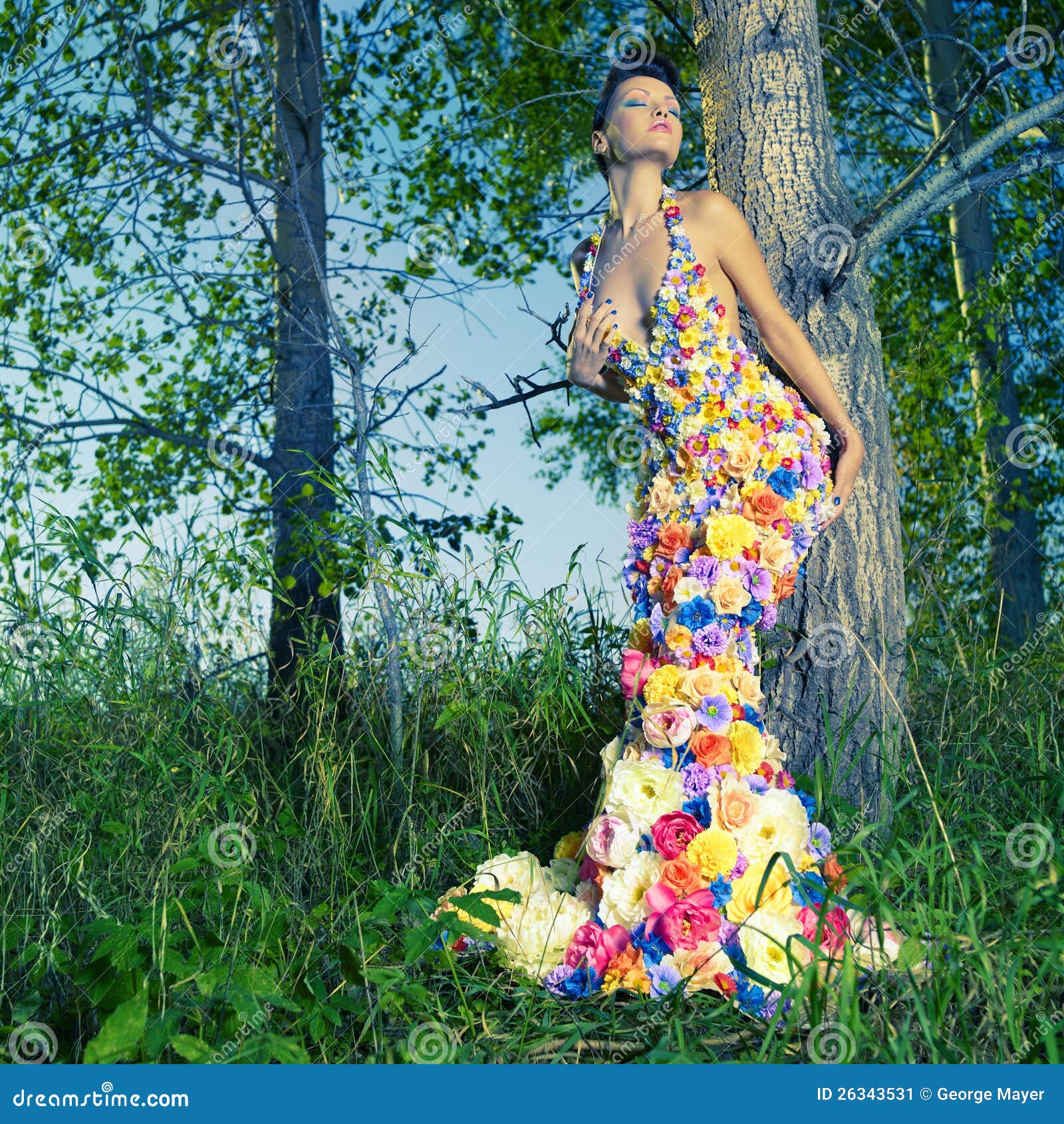 Belle Dame Dans La Robe Des Fleurs Image stock - Image du chiffre