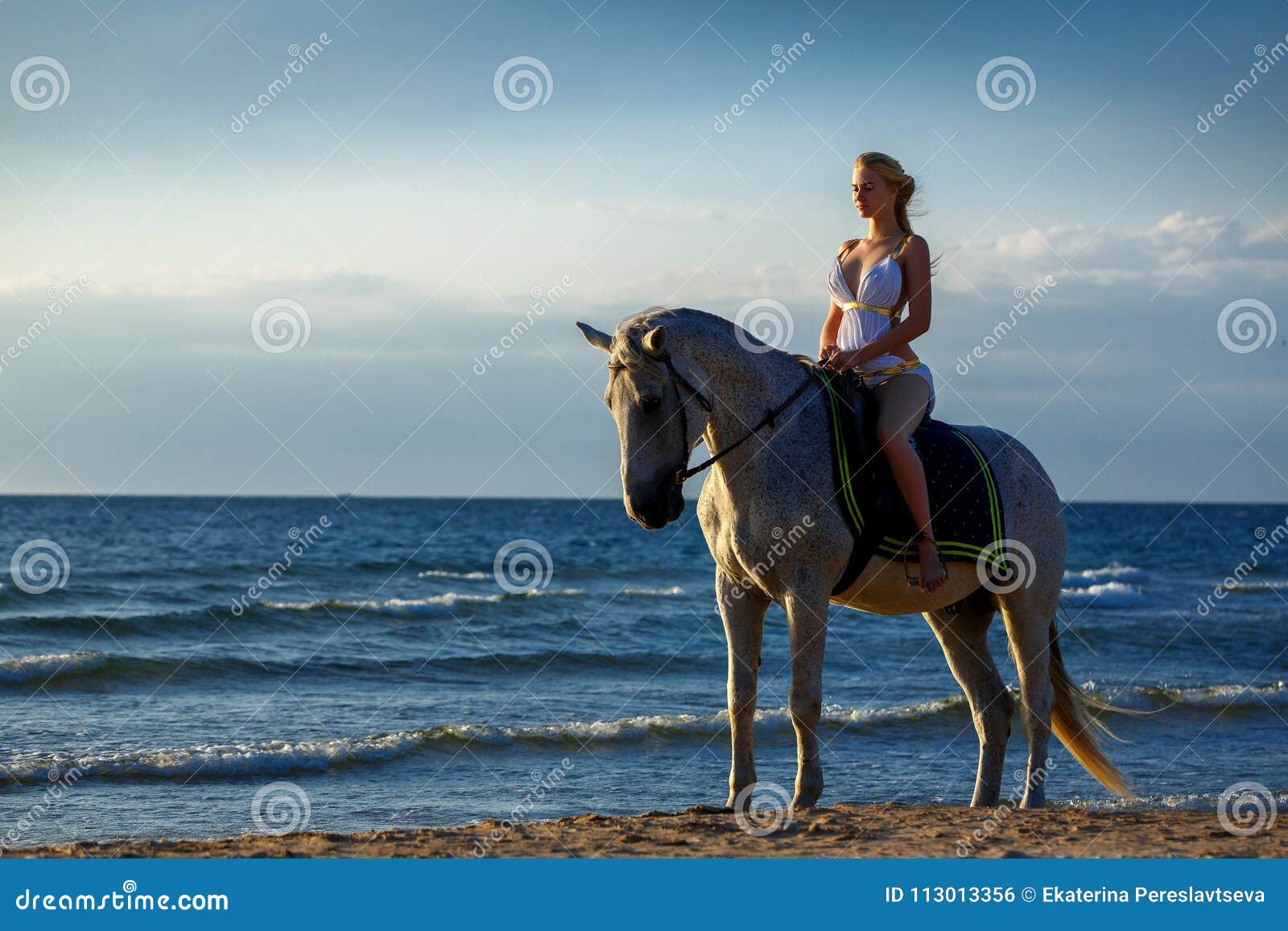 magnifique fille dans une blanc robe équitation une cheval sur le