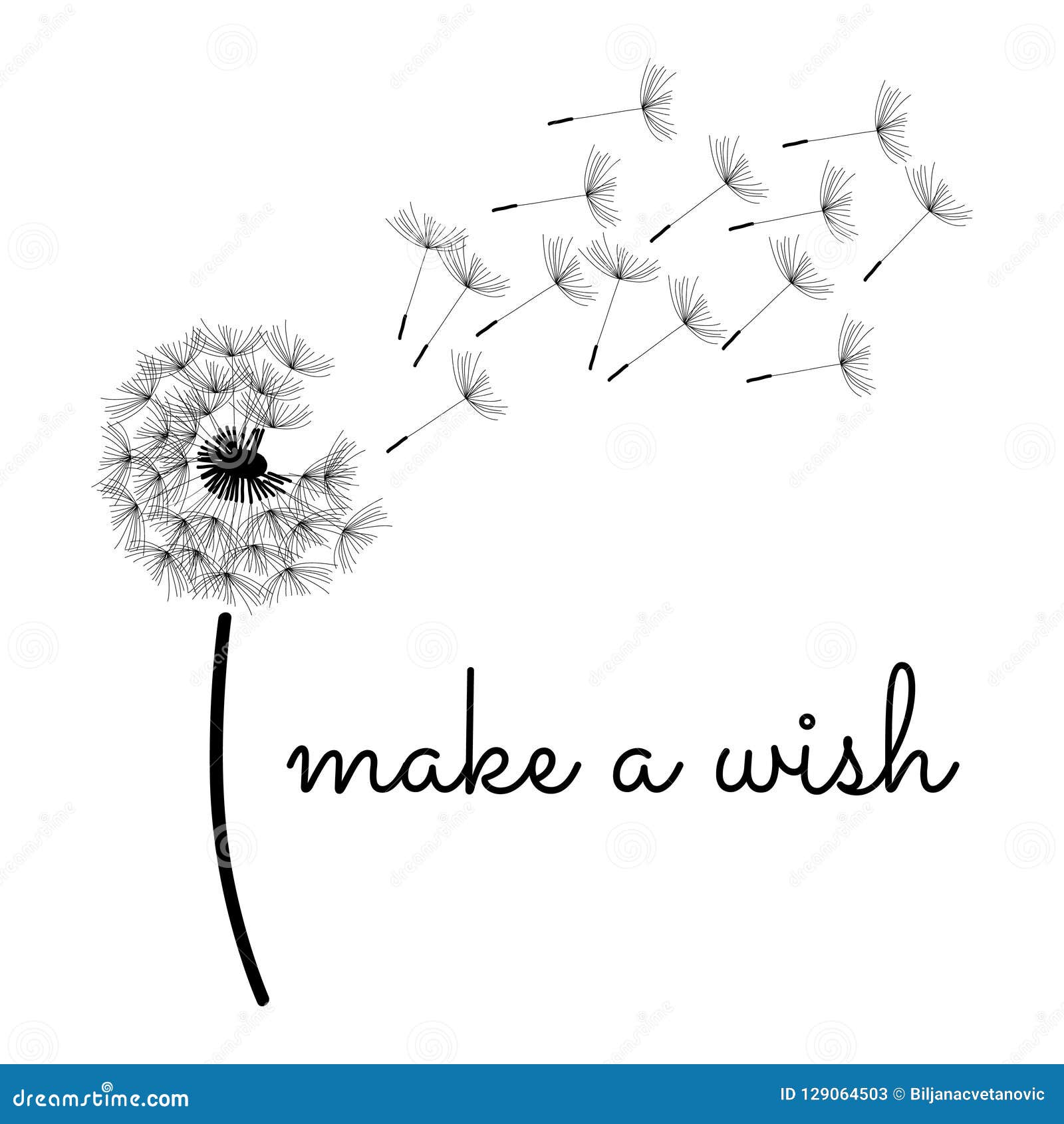 Belle Fleur De Pissenlit Illustration De Vecteur Illustration Du Frais