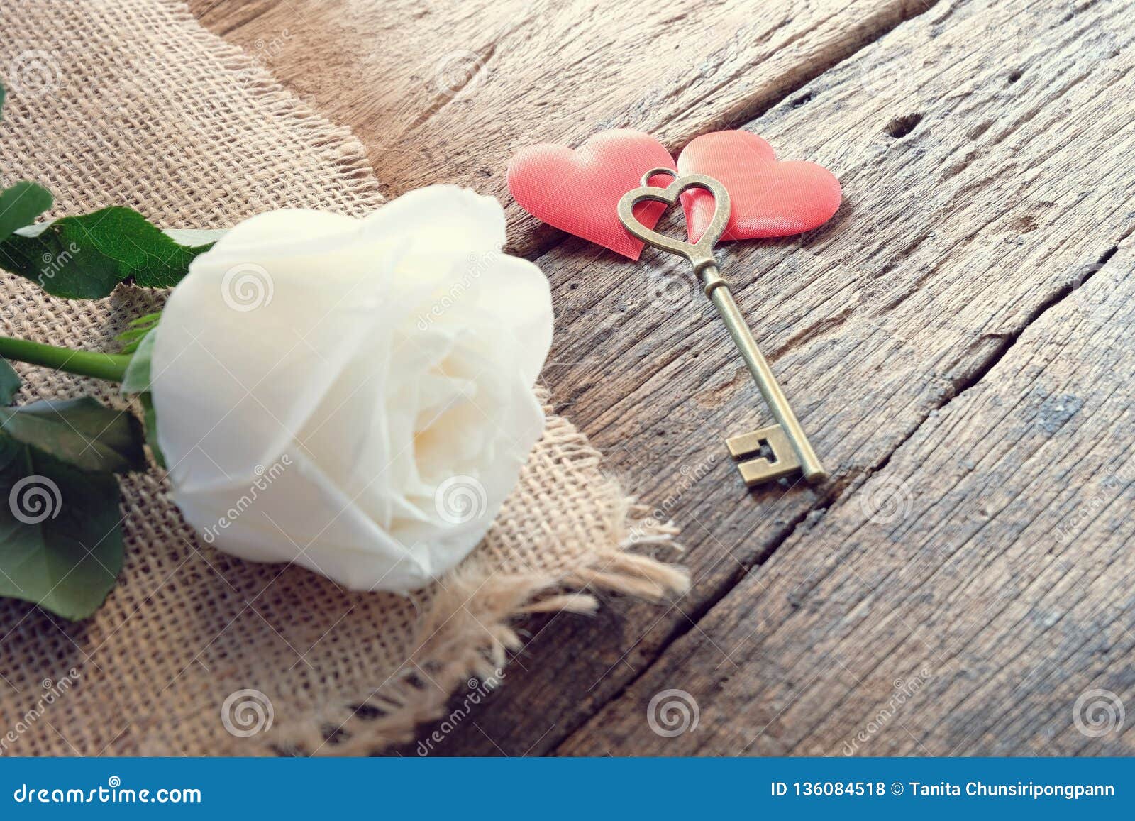 Belle Rose Blanche Pure Avec La Clé De Forme D'amour Sur Le Coeur Rouge Du  Satin Deux Ton Doux Pour Valentine& Romantique X27 ; J Photo stock - Image  du lumière, rouge: