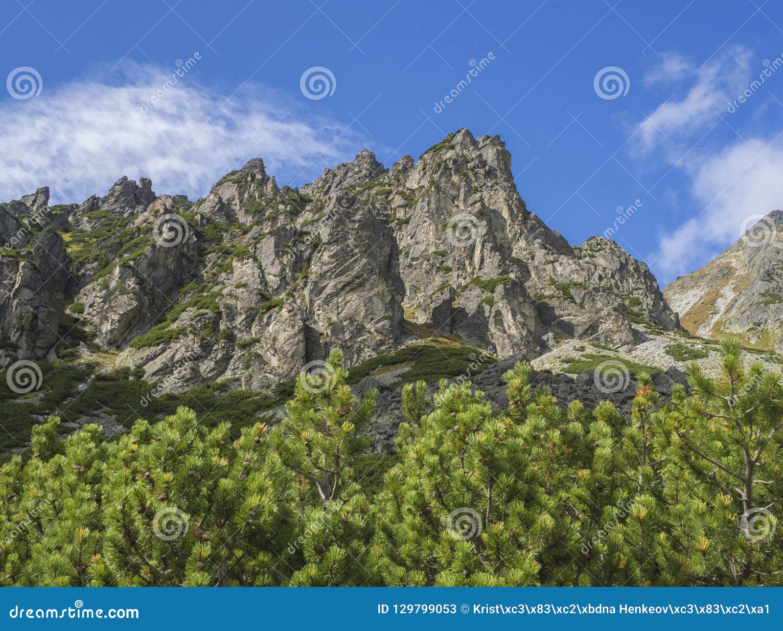 Belles Cretes De Montagne Pointues Avec Des Pins Haute Montagne De Tatras Slovaquie Jour Ensoleille De Fin D Ete Fond De Ciel Image Stock Image Du Avec Slovaquie 129799053