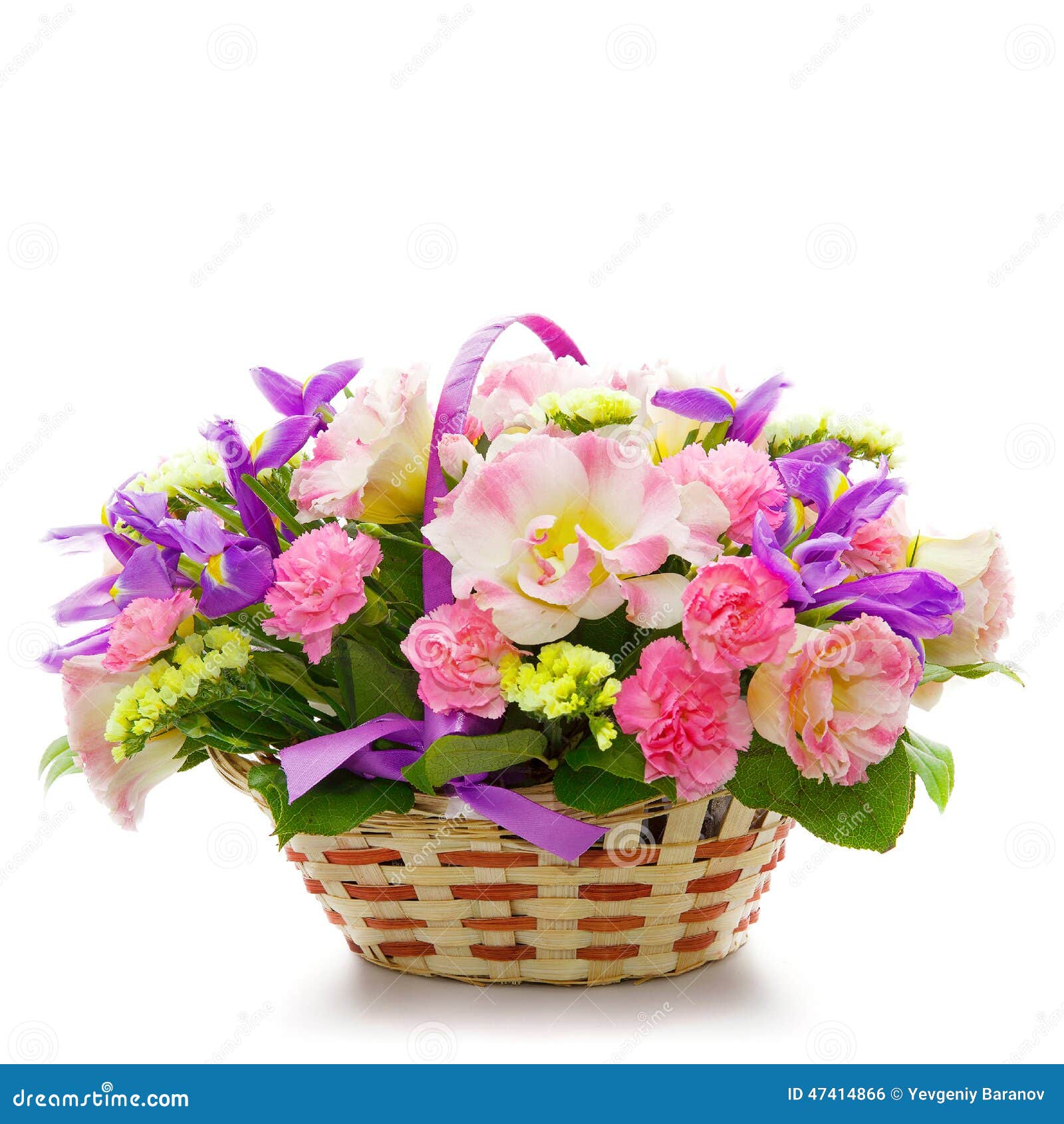 Belles Fleurs Dans Un Panier D'isolement Sur Le Blanc Photo stock