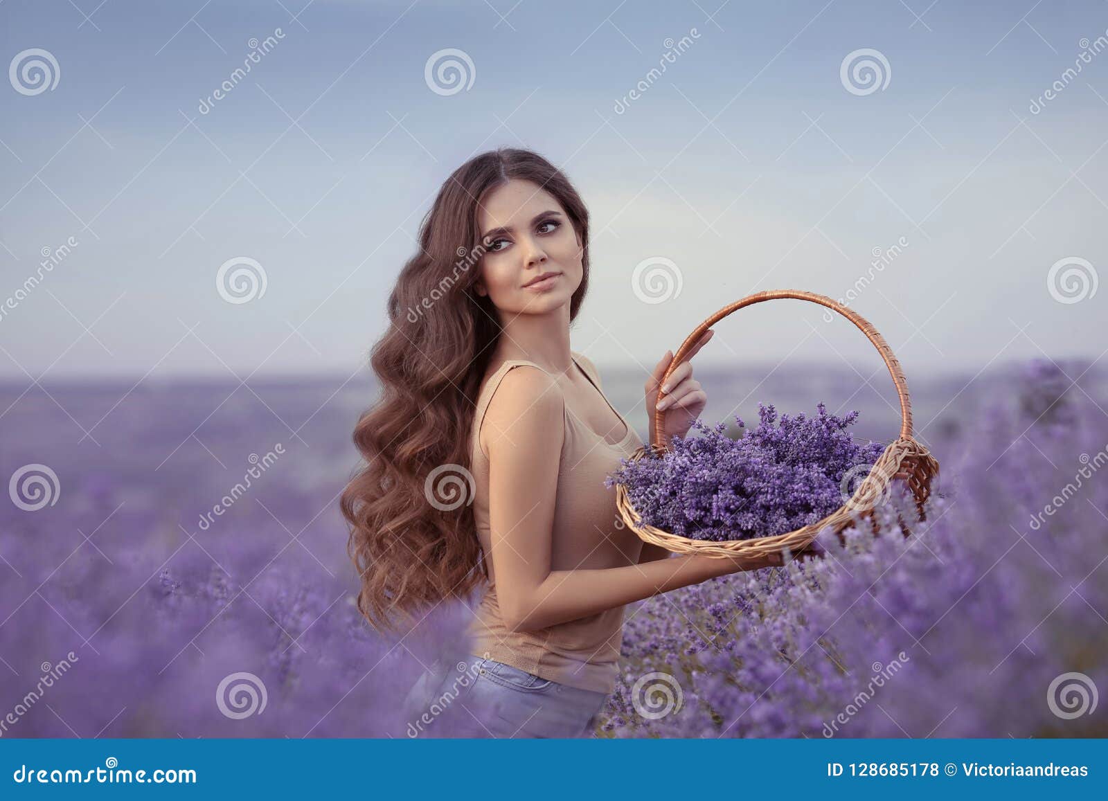 Bellezza naturale Bella donna della Provenza con i fiori di canestro har. Bellezza naturale Bella donna della Provenza con i fiori di canestro che raccolgono nel giacimento della lavanda al tramonto Ragazza graziosa attraente con capelli ricci sani lunghi Incantare, abbastanza femminile Concetto di stile di vita