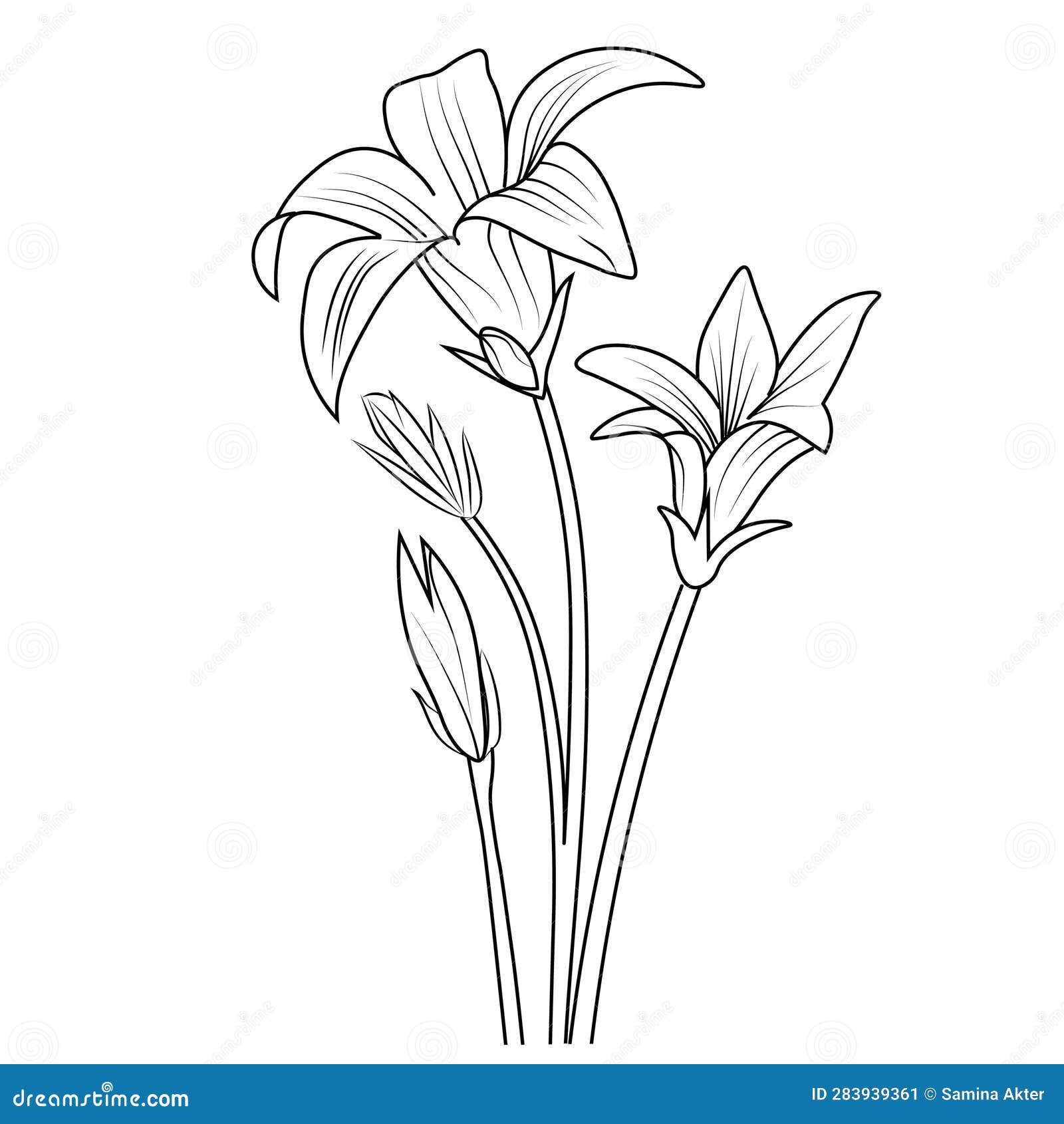 bellflower coloring book hand drew botanical spring s bouquet of flower line art, coloring page,  sketch,