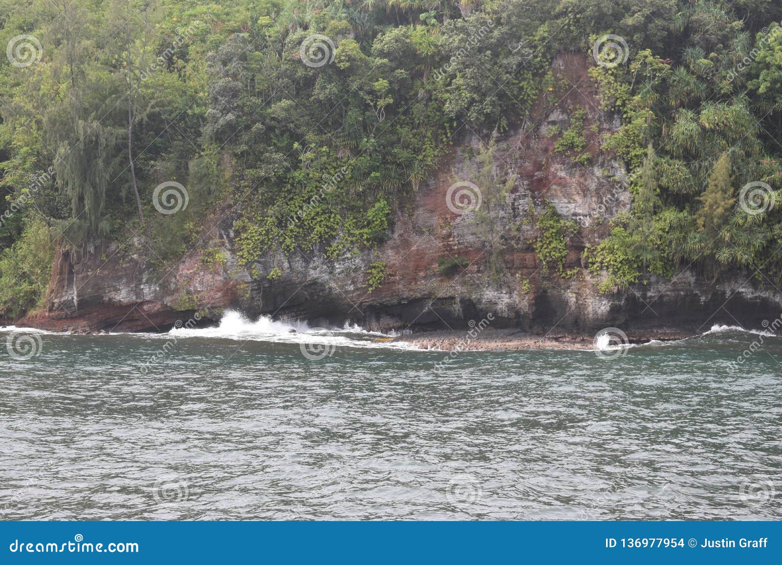 Bello litorale costiero in Hawai con le onde che si schiantano lentamente sulla riva. Bello litorale costiero in Hawai con le onde che si schiantano lentamente sulla scogliera e sulla foresta pluviale taglienti della riva che allineano la costa