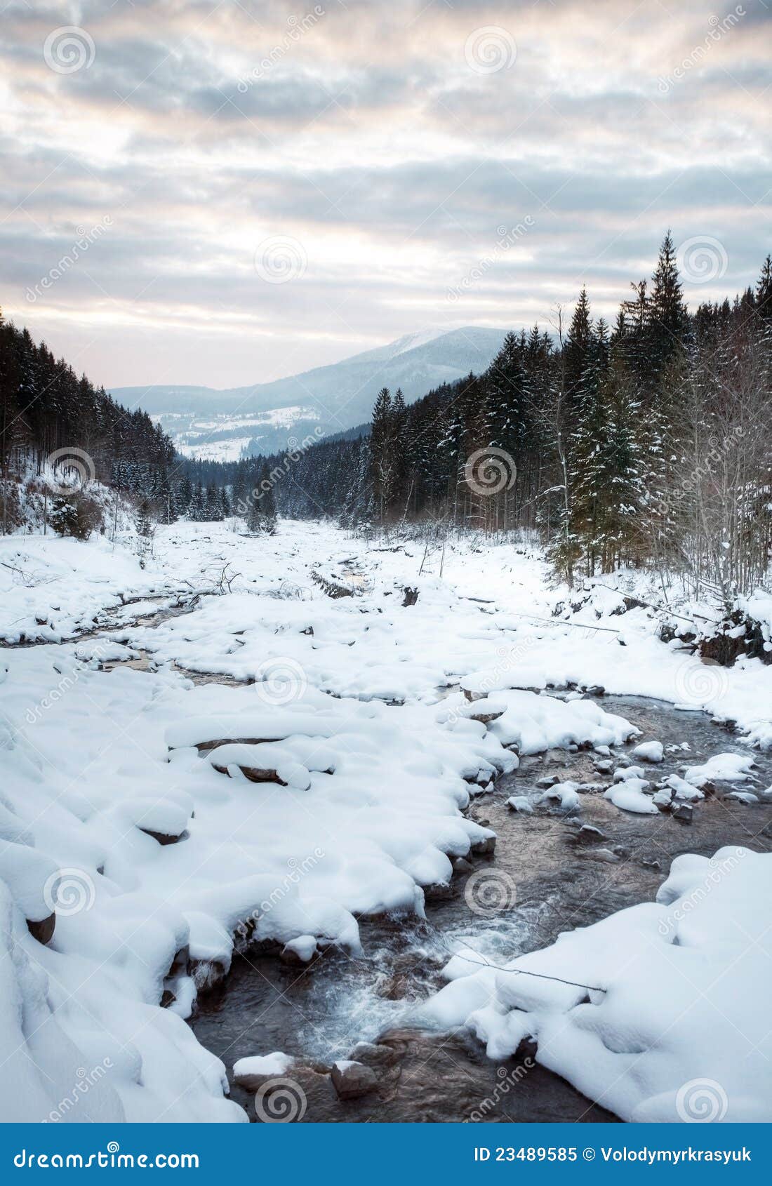 Bello paesaggio di inverno nelle montagne