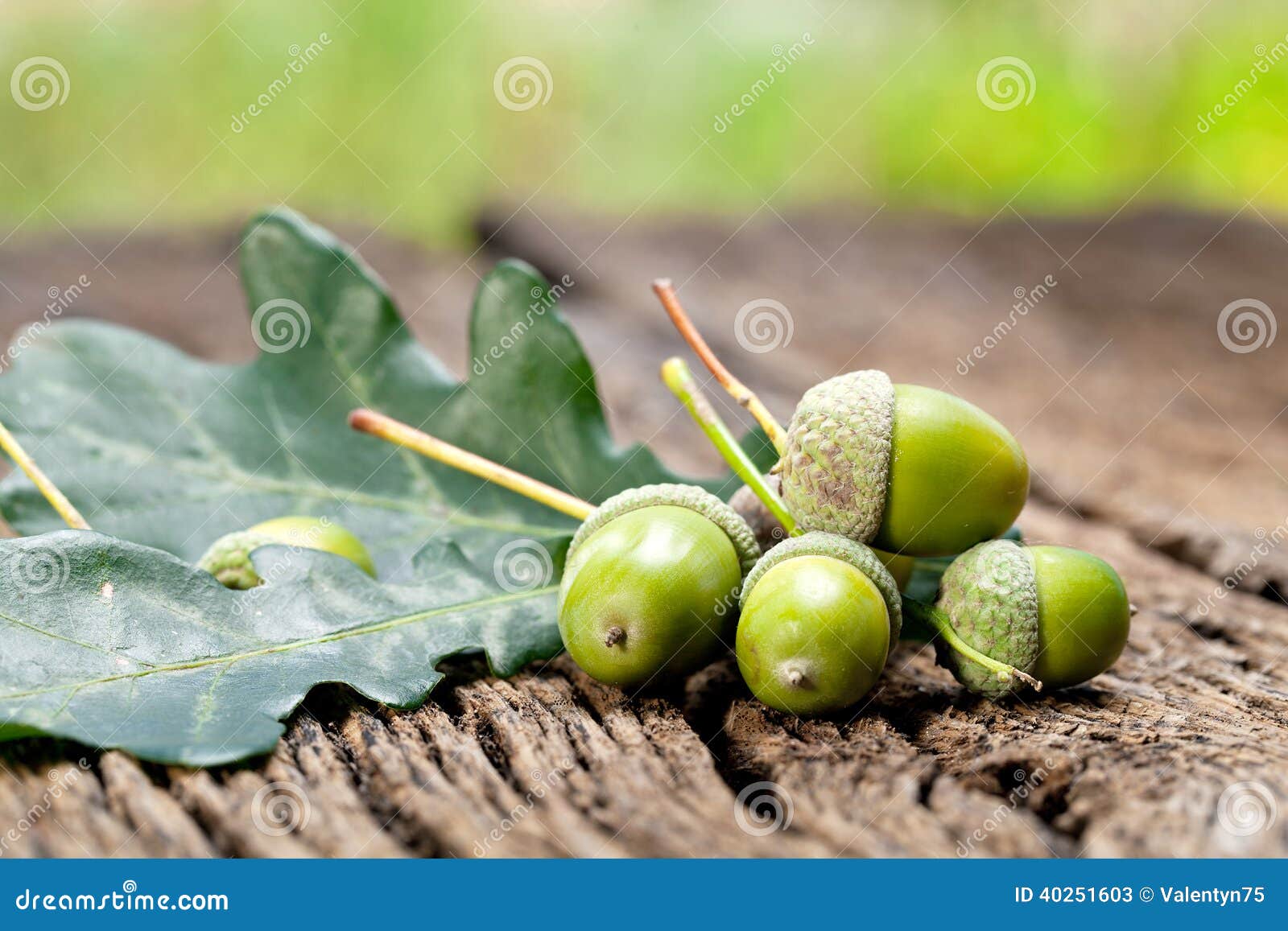 Repuestos Pro Line Tijeras De Una Mano / 3510H - Www