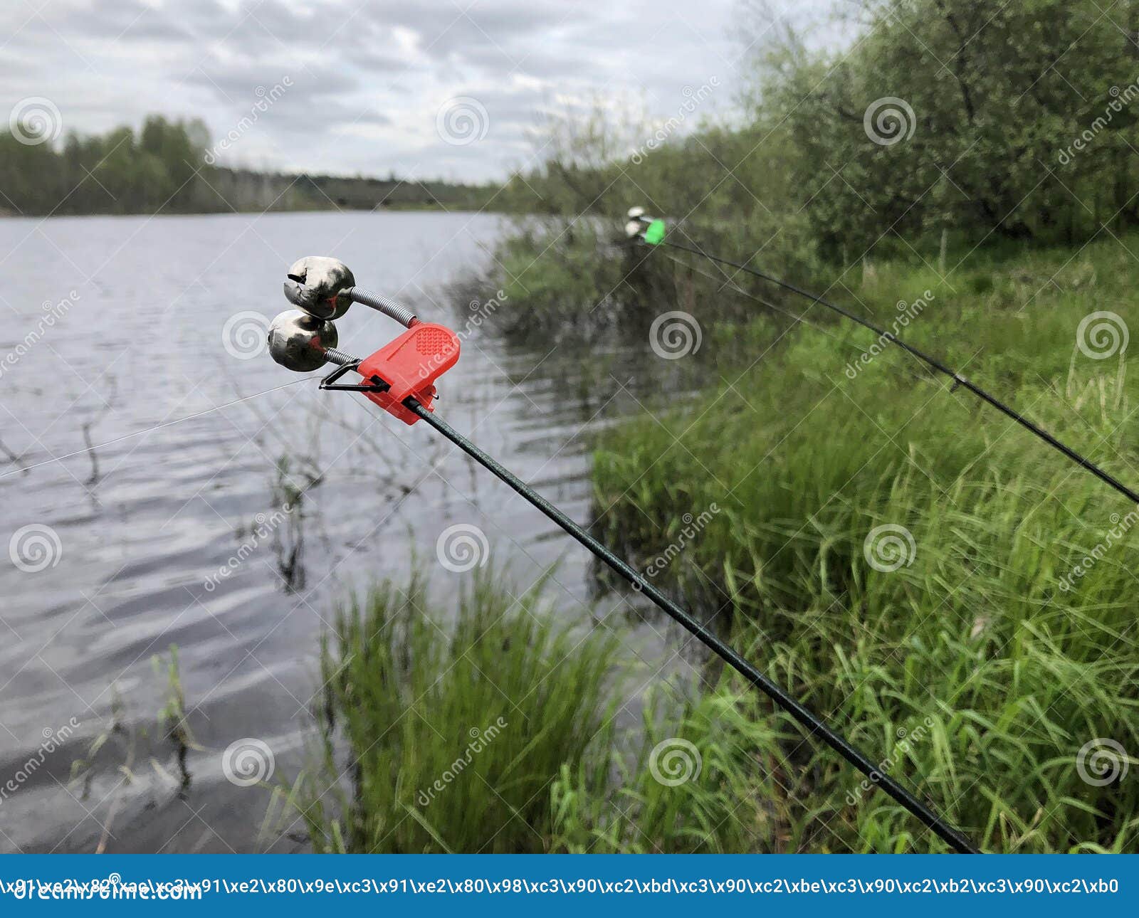 The Bell Alarm is on the Fishing Rod Spinning in Nature Stock Photo - Image  of artificial, activity: 217505568