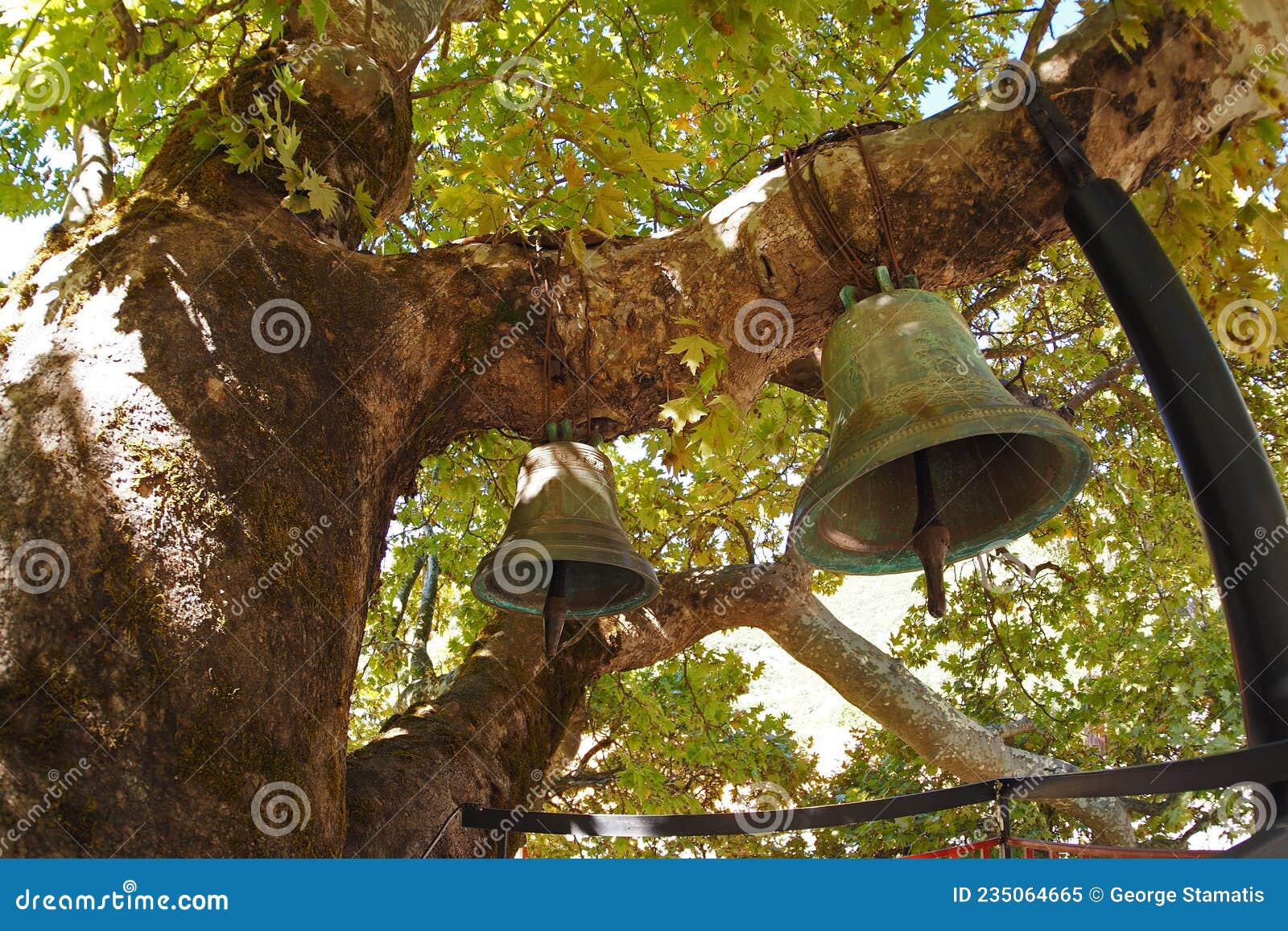 bells on platanus tree - peloponnese, greece