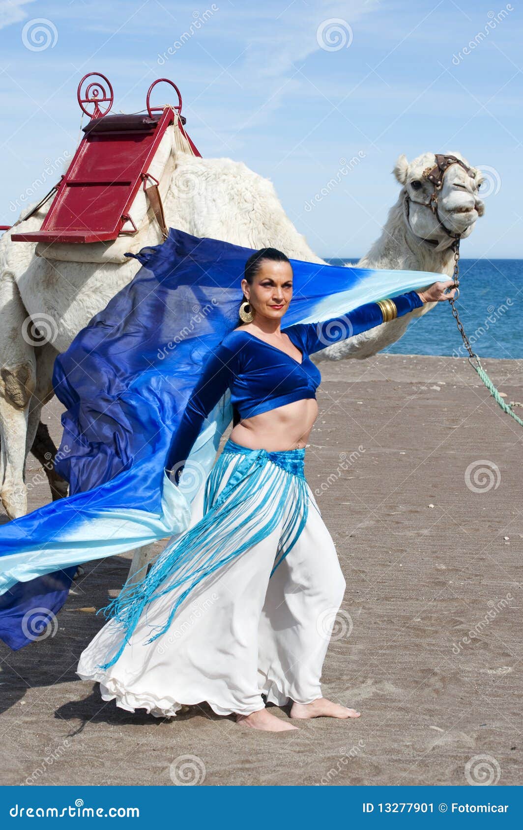 Belly Dancer and Camel stock image. Image of dancer, beach 13277901