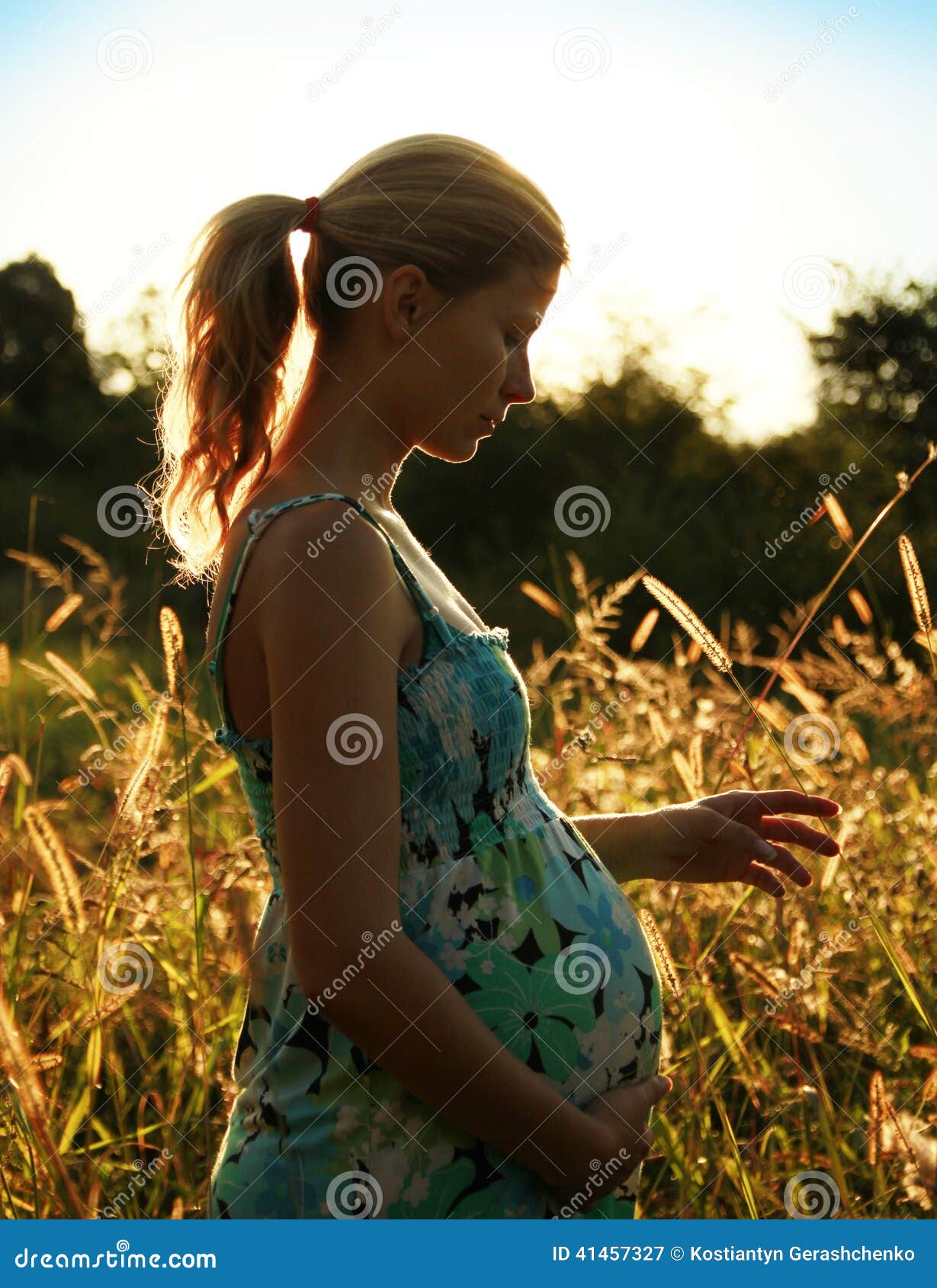 Belly of a Pregnant Woman on Nature Stock Image - Image of wife, modern ...