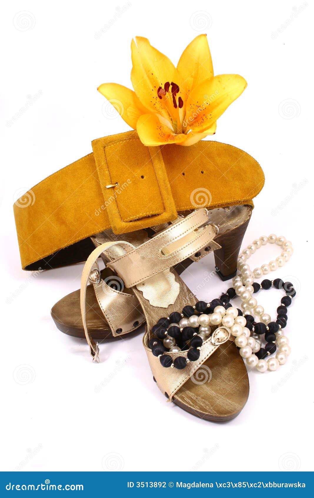 Belt with Gold Shoes Isolated Stock Photo Image of sash, orifice 3513892