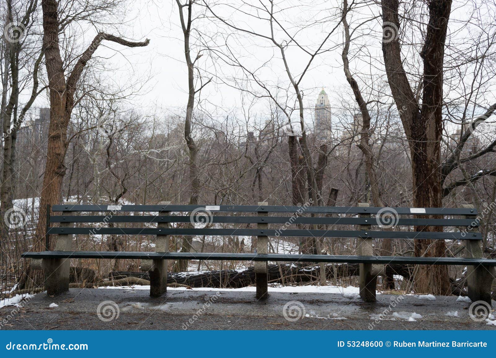 Bench in Central park stock photo. Image of city, winter 53248600