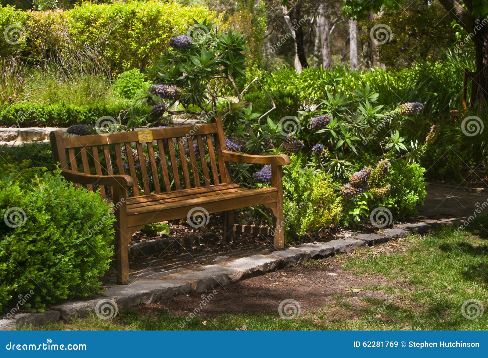 bench among the flower bed stock image. image of rose - 62281769